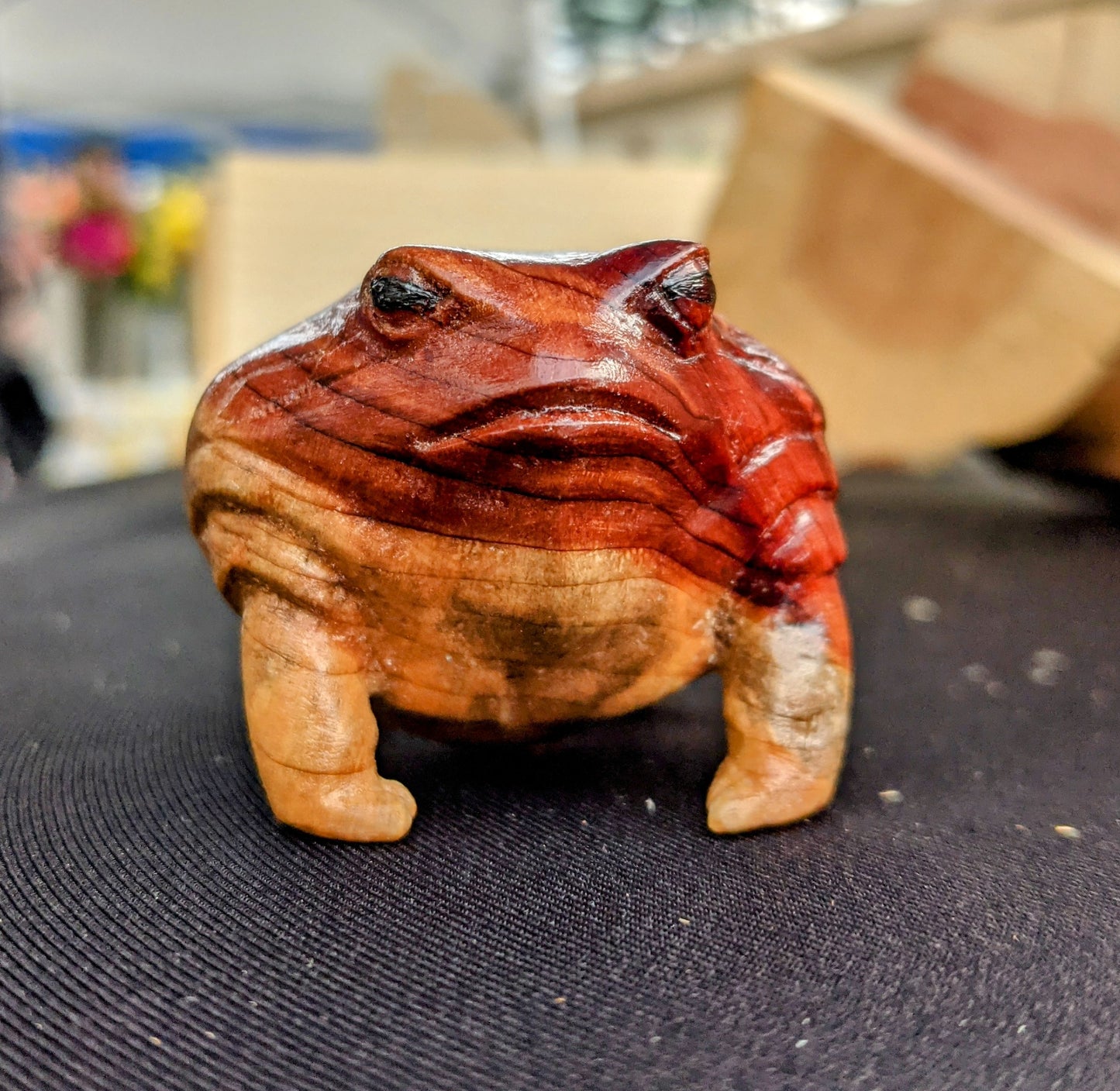 Cedar Rain Frog
