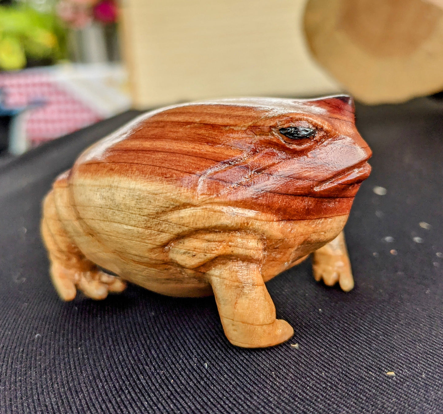 Cedar Rain Frog