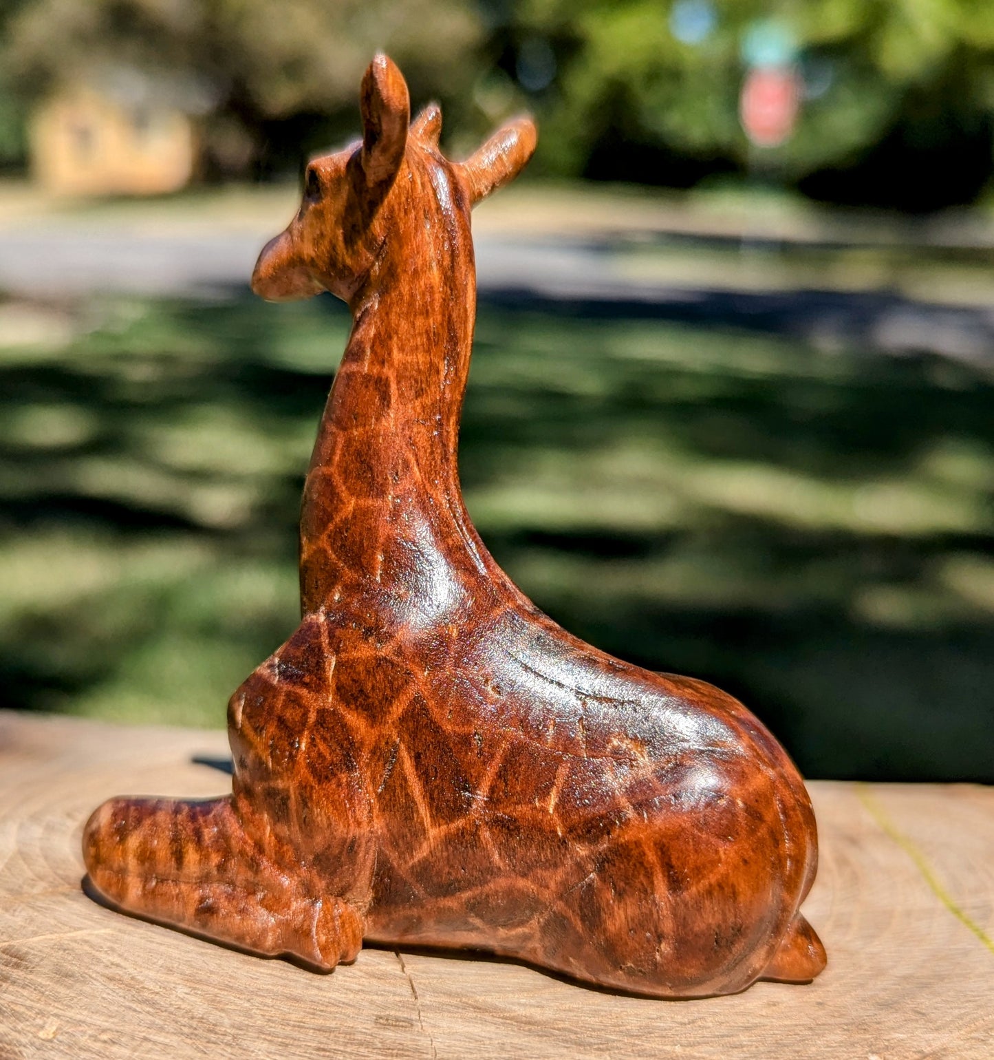 Cherry Giraffe