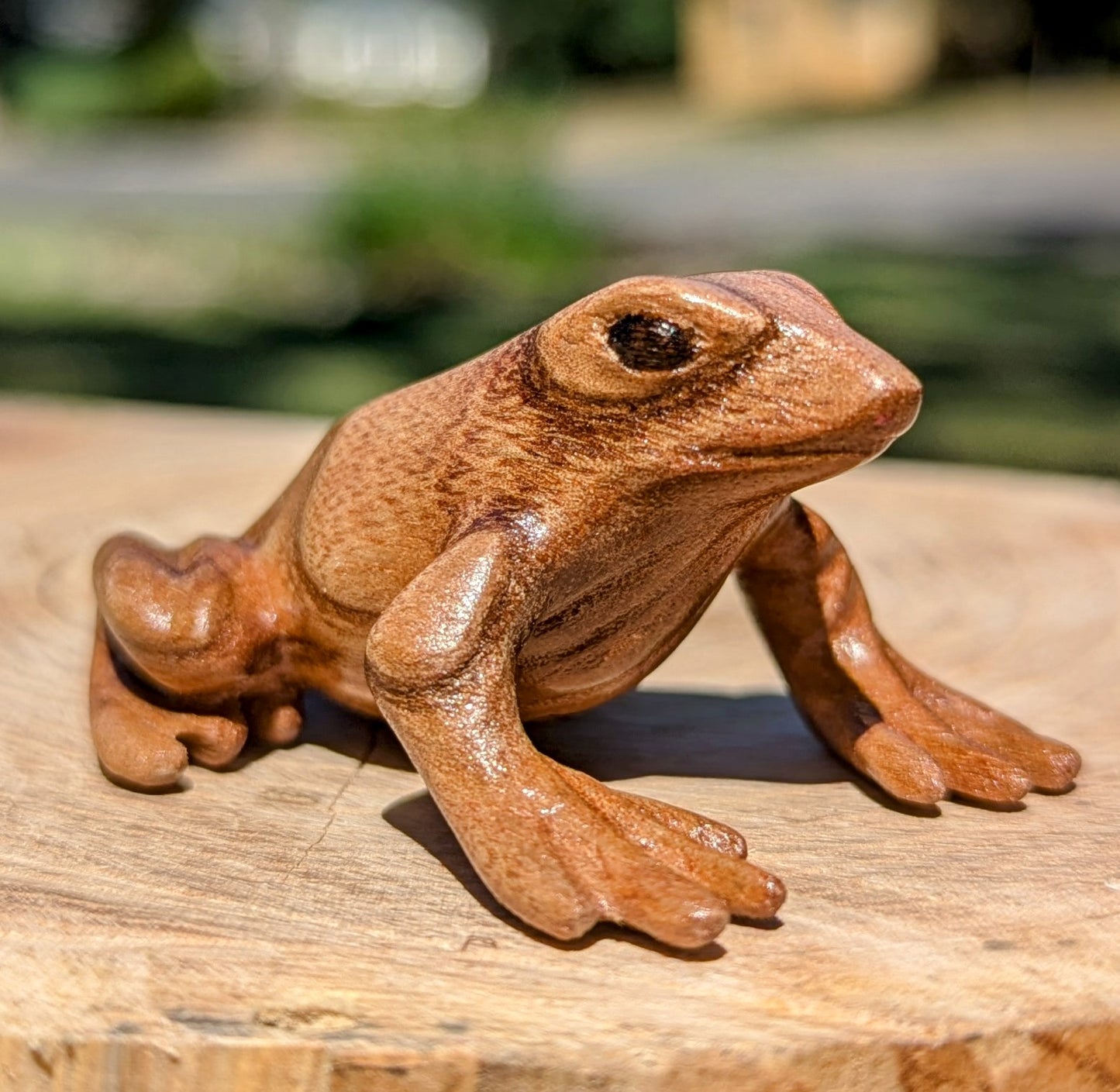 Catalpa Dart Frog