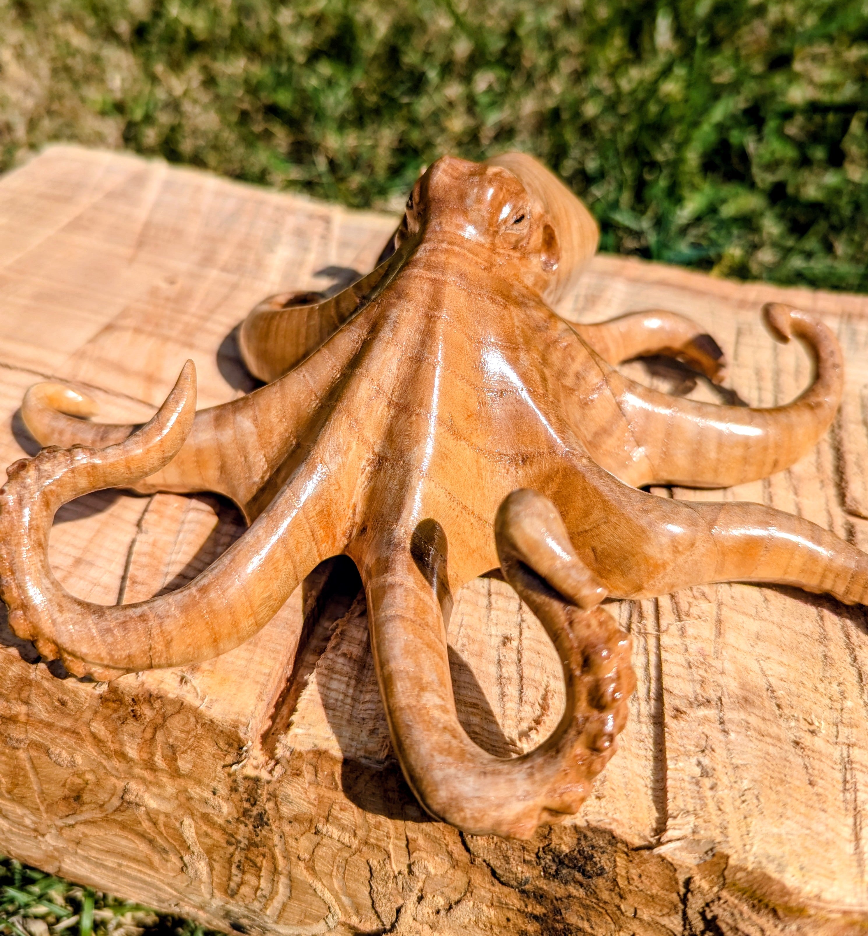 Ash Octopus – Sharp Arts Carvings