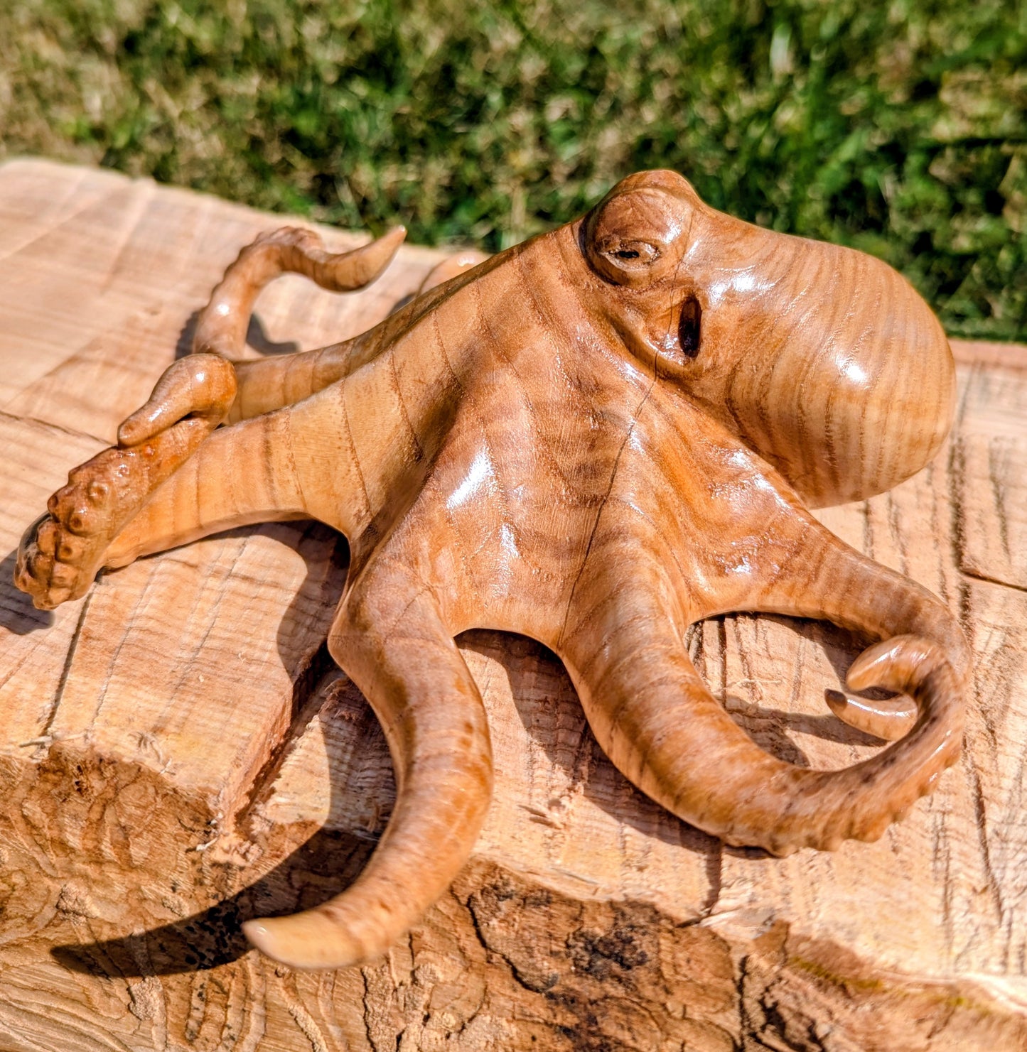 Ash Octopus