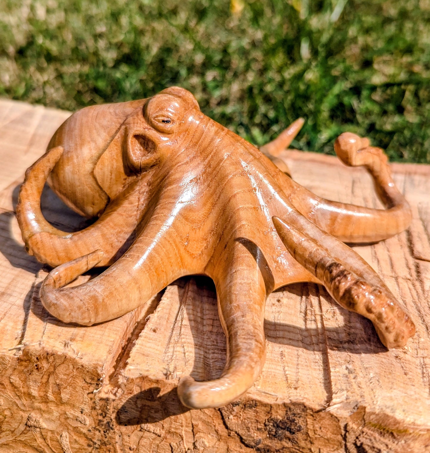 Ash Octopus