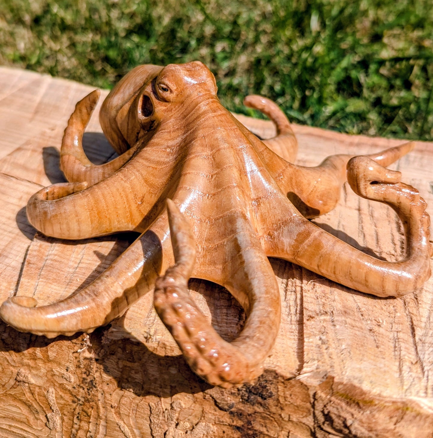 Ash Octopus