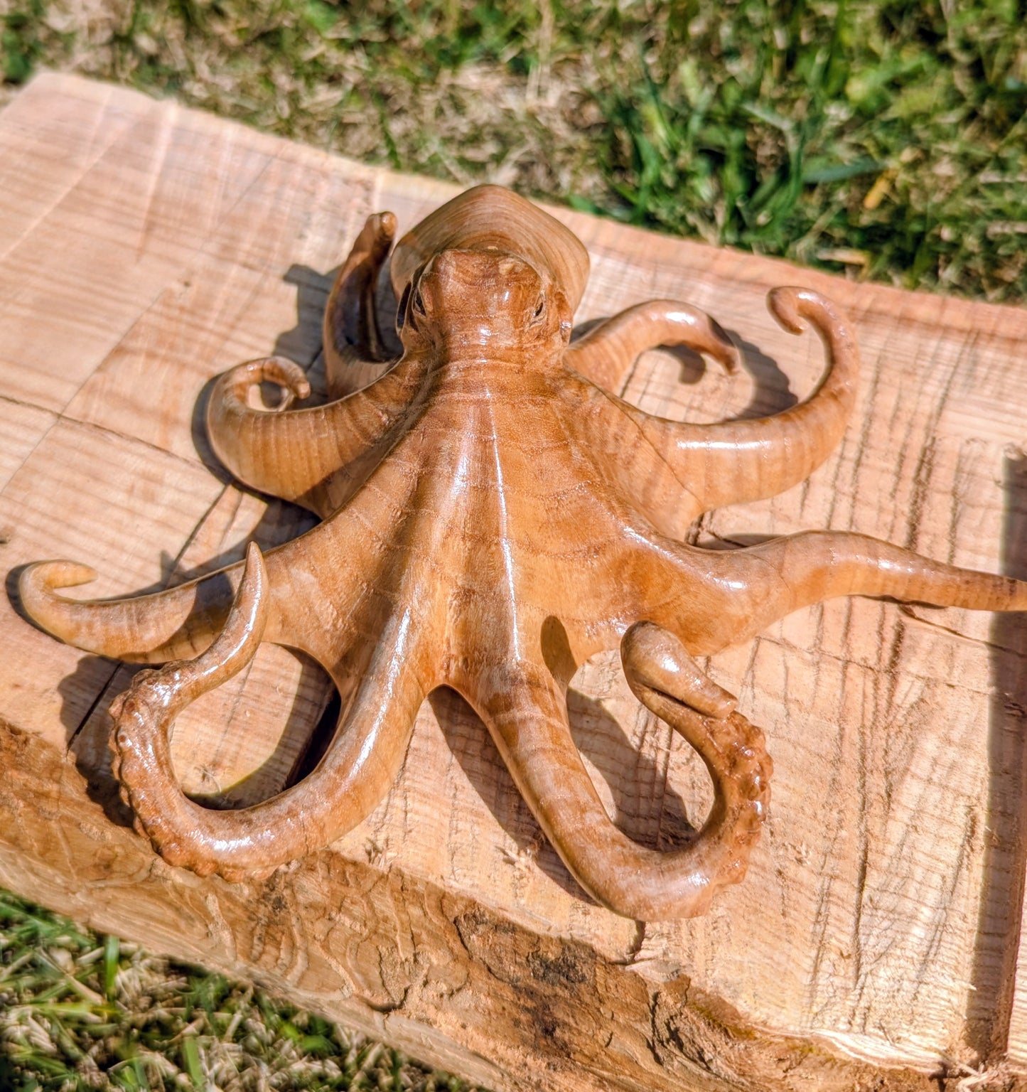 Ash Octopus