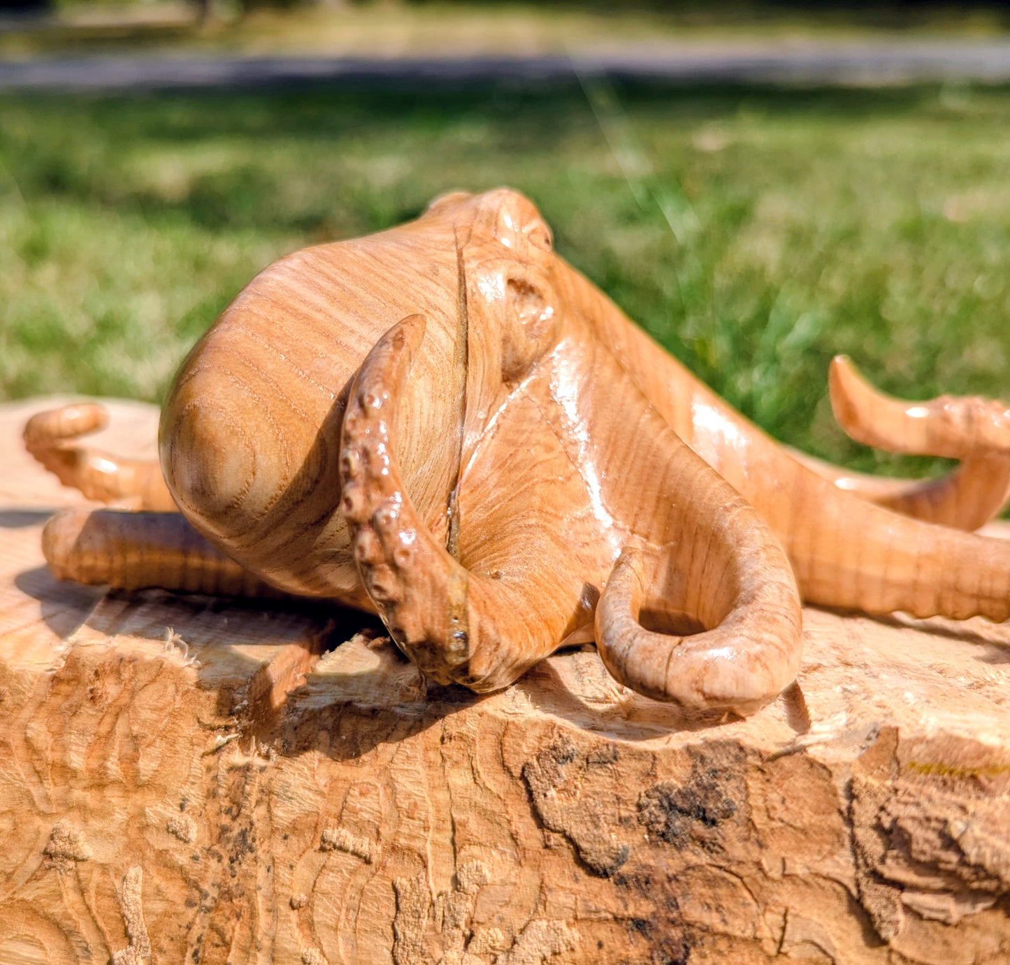 Ash Octopus