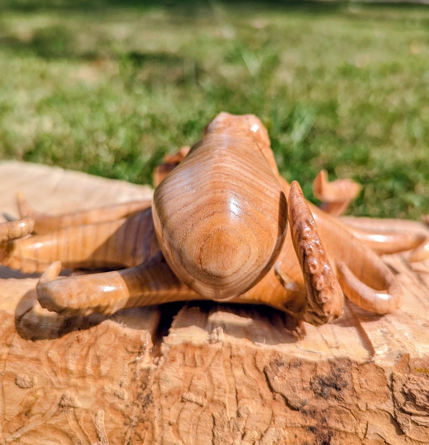 Ash Octopus