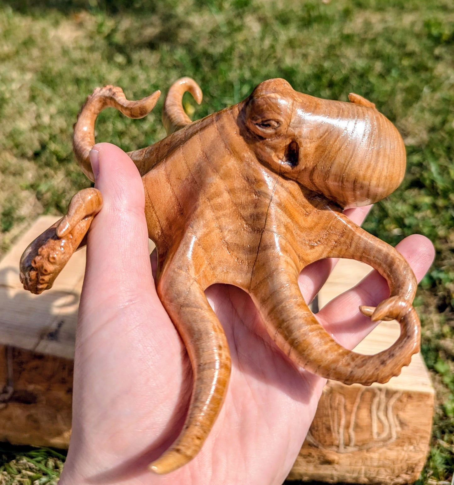 Ash Octopus