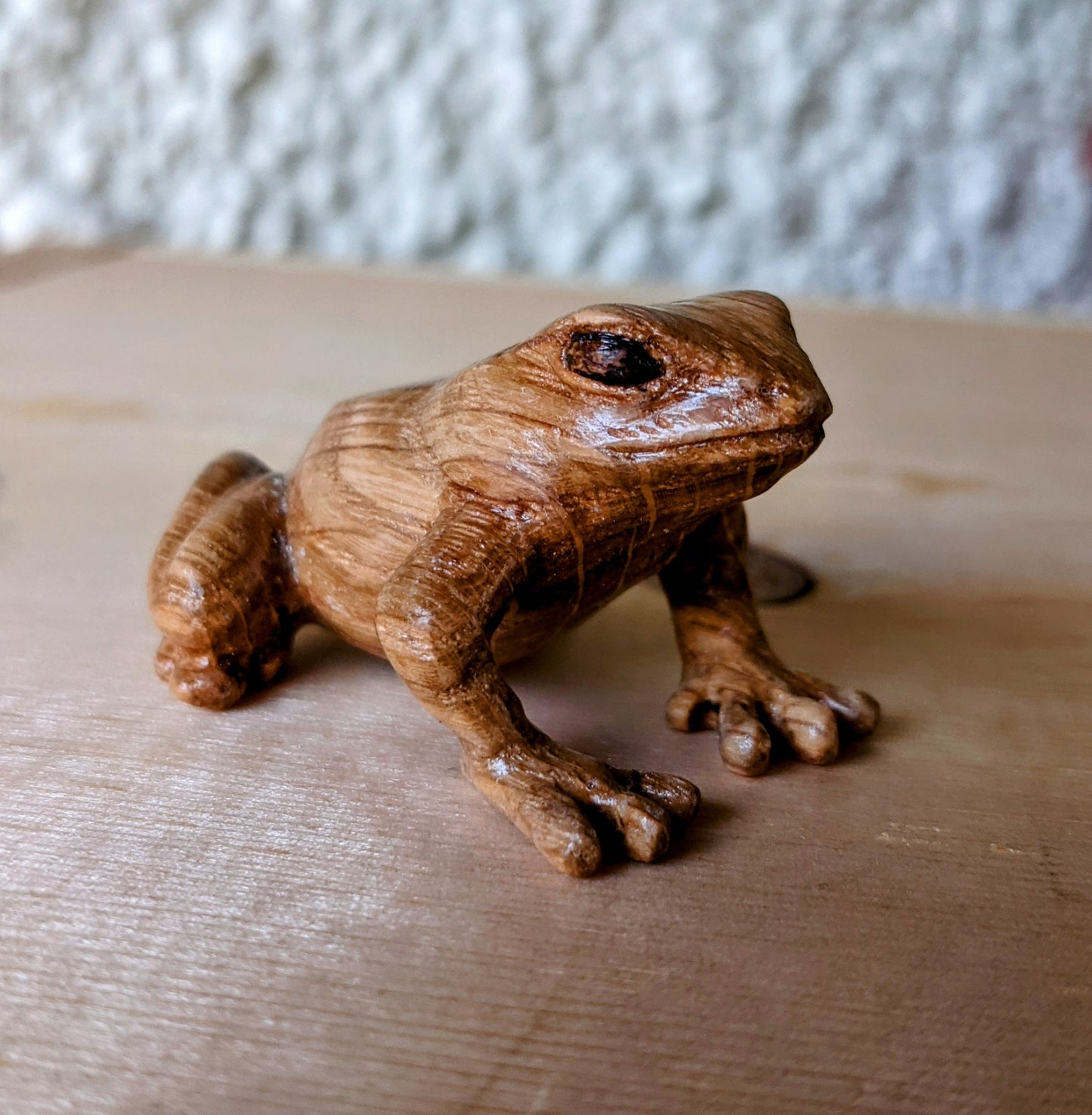 White Oak Dart Frog