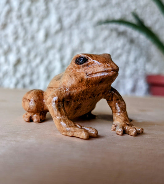 Red Oak Dart Frog