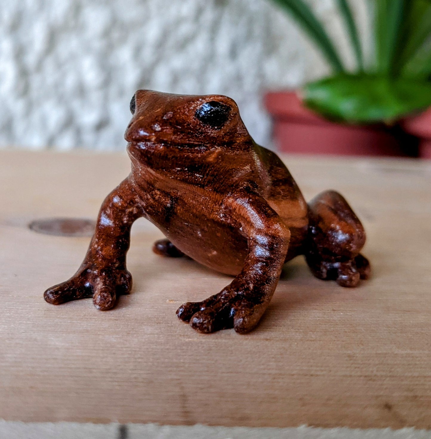 Cherry Dart Frog