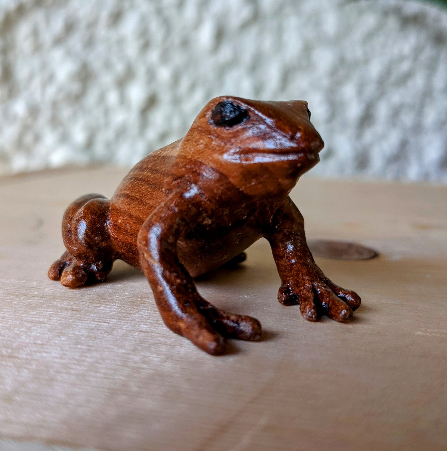 Cherry Dart Frog