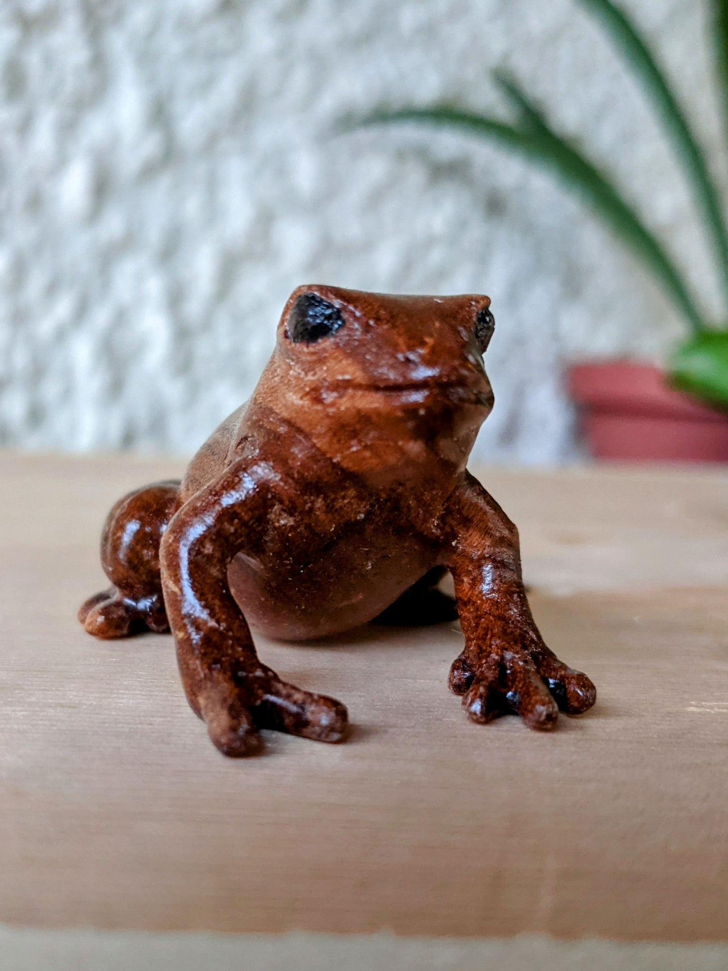 Cherry Dart Frog