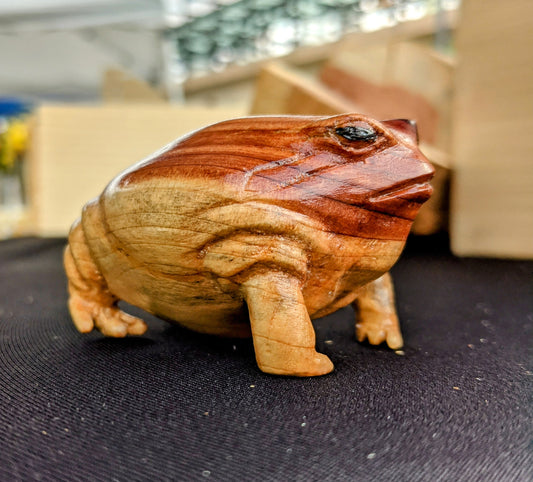 Cedar Rain Frog