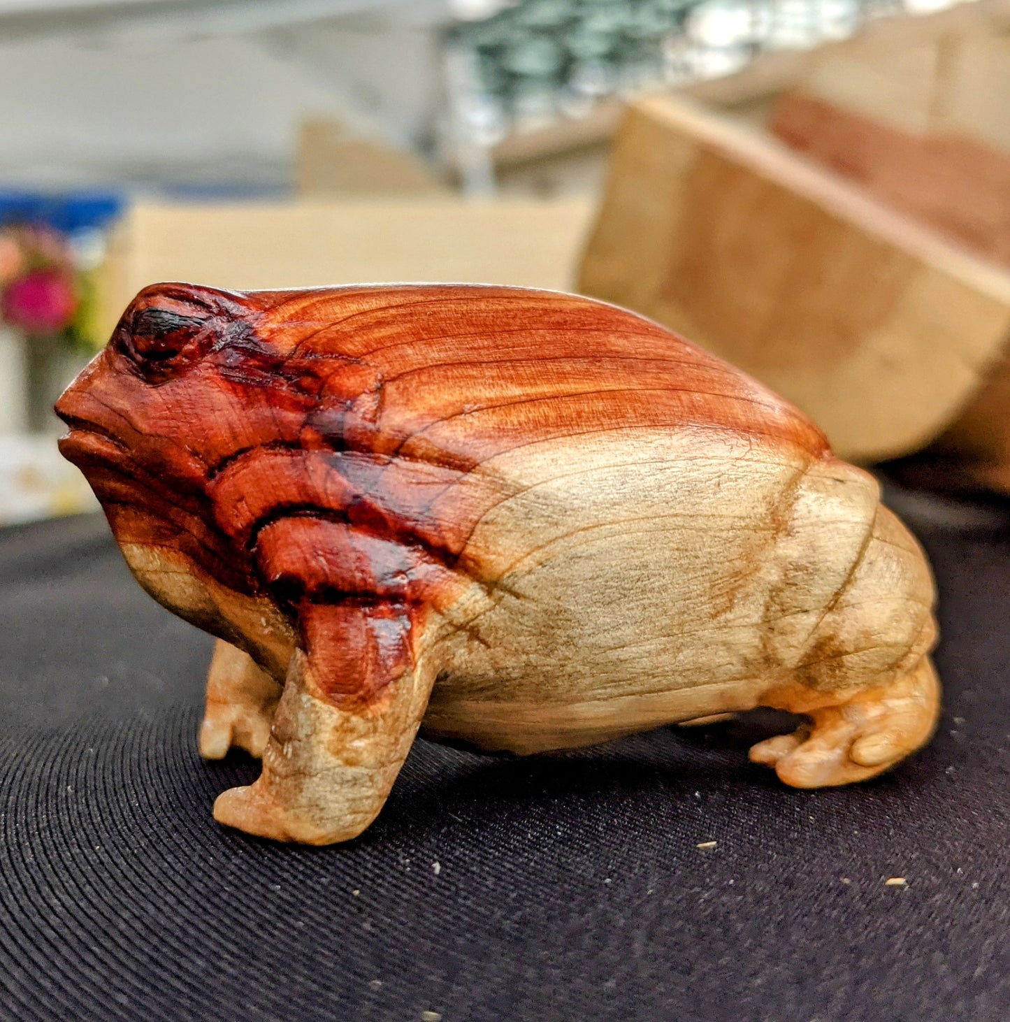 Cedar Rain Frog