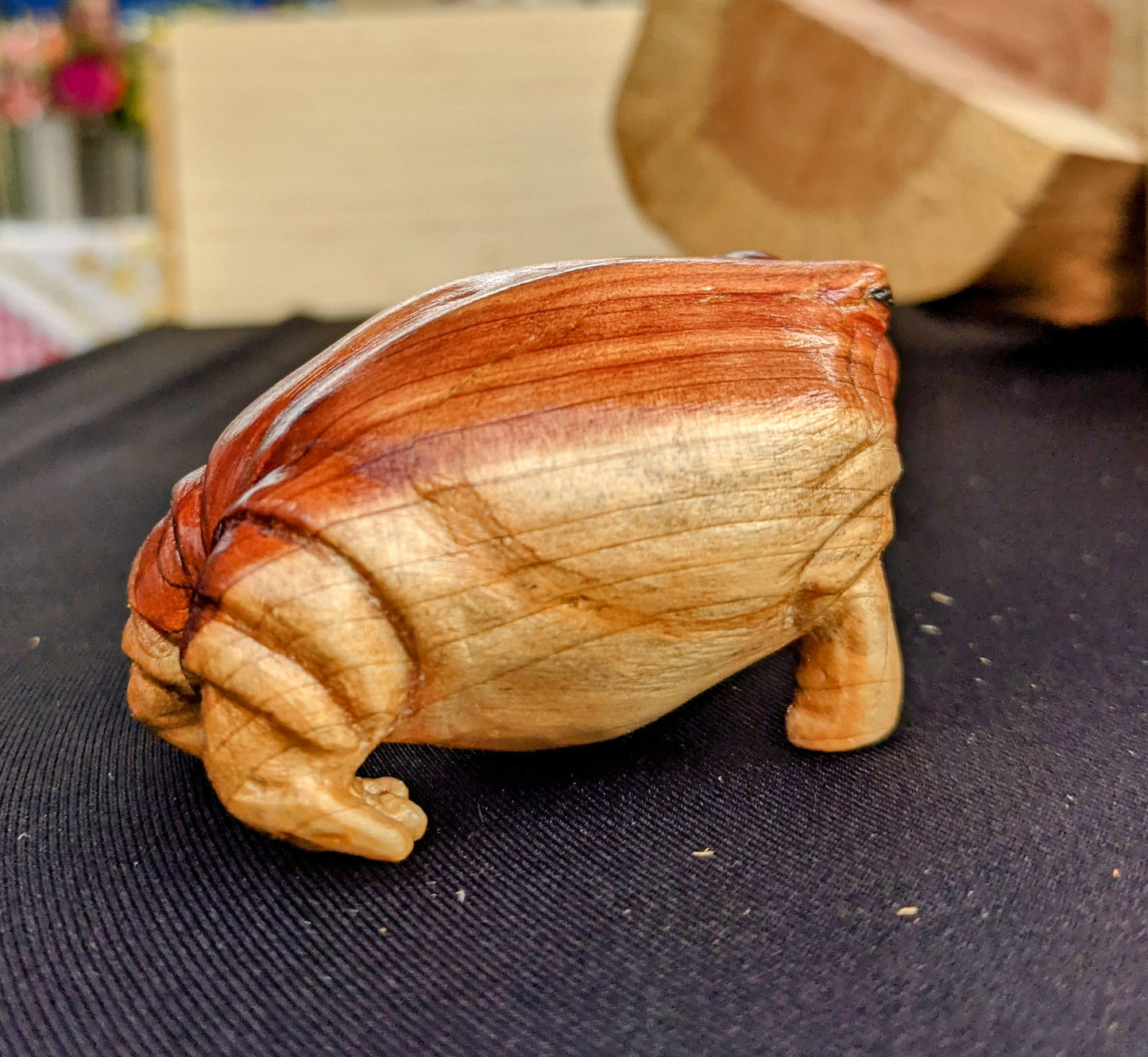 Cedar Rain Frog