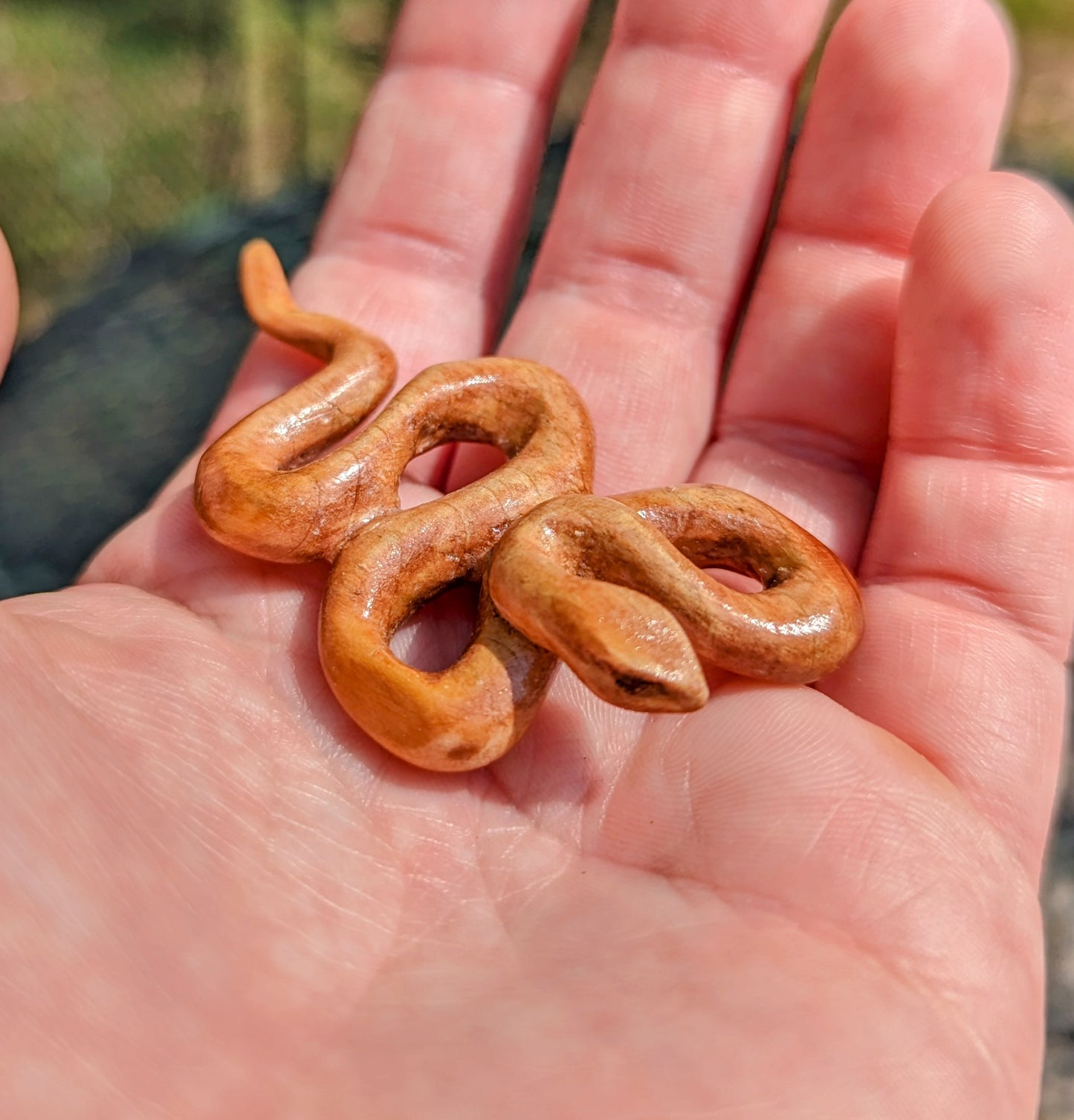 Cedar Snake