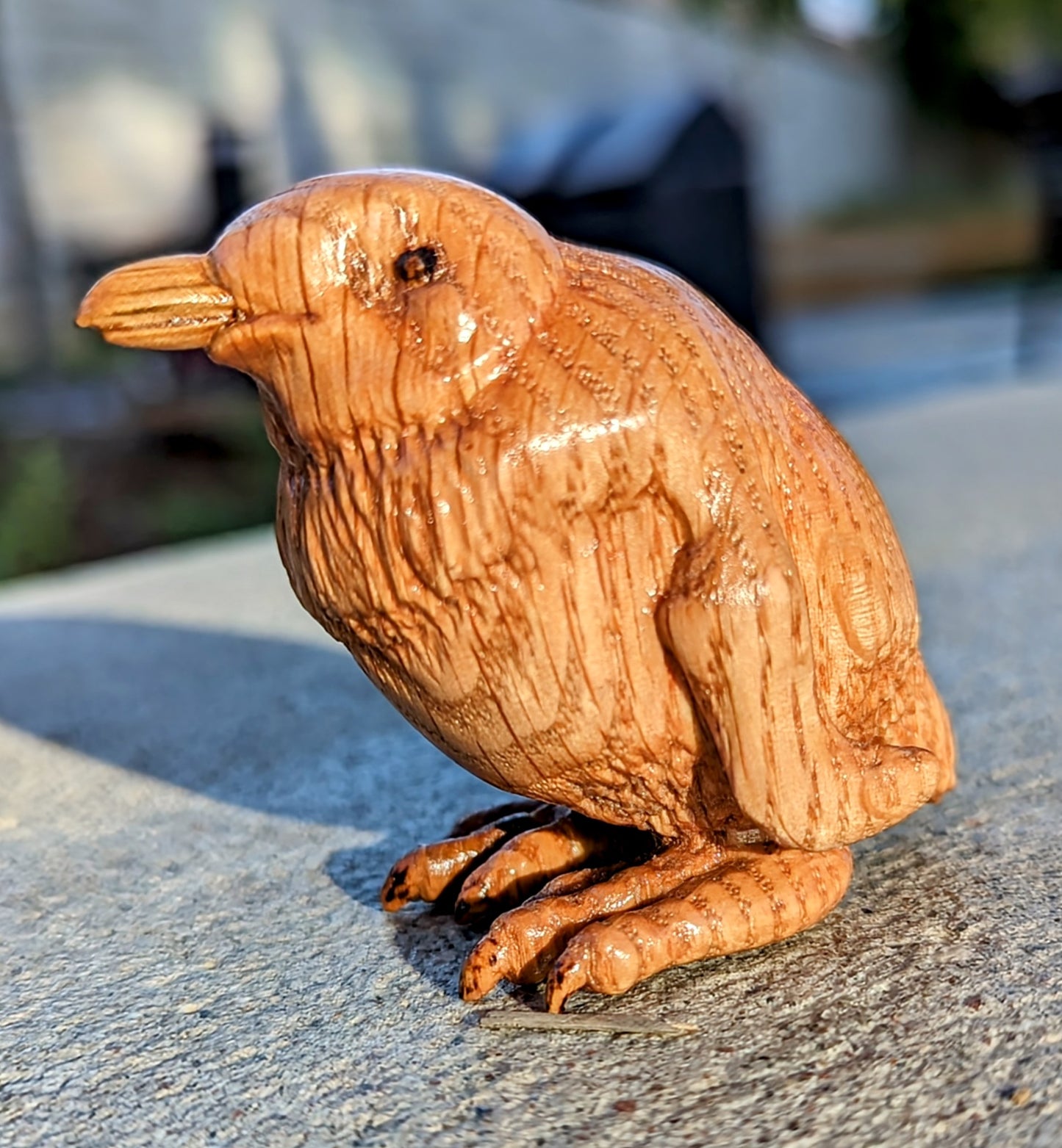 Red Oak Fairy Penguin