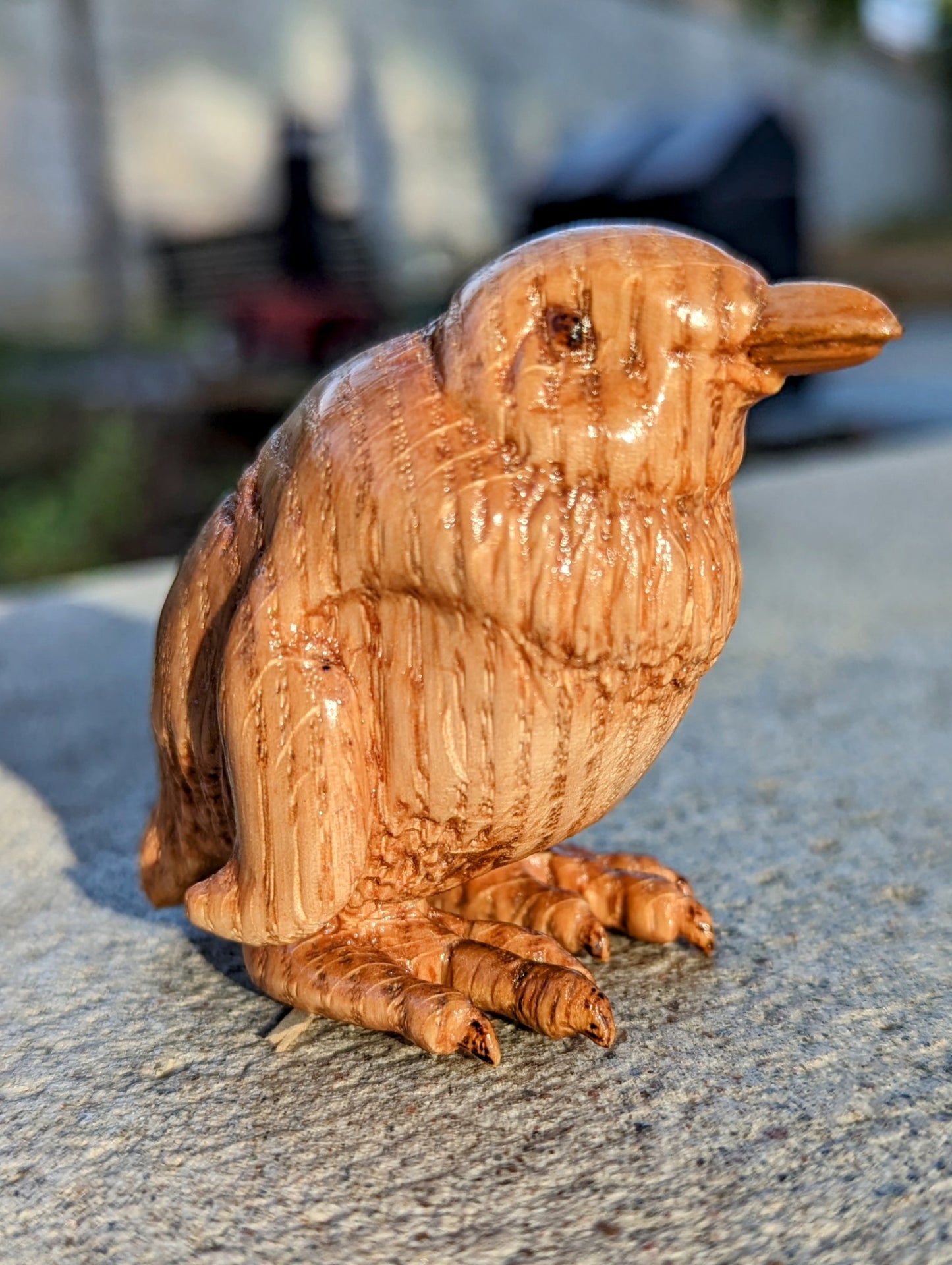 Red Oak Fairy Penguin