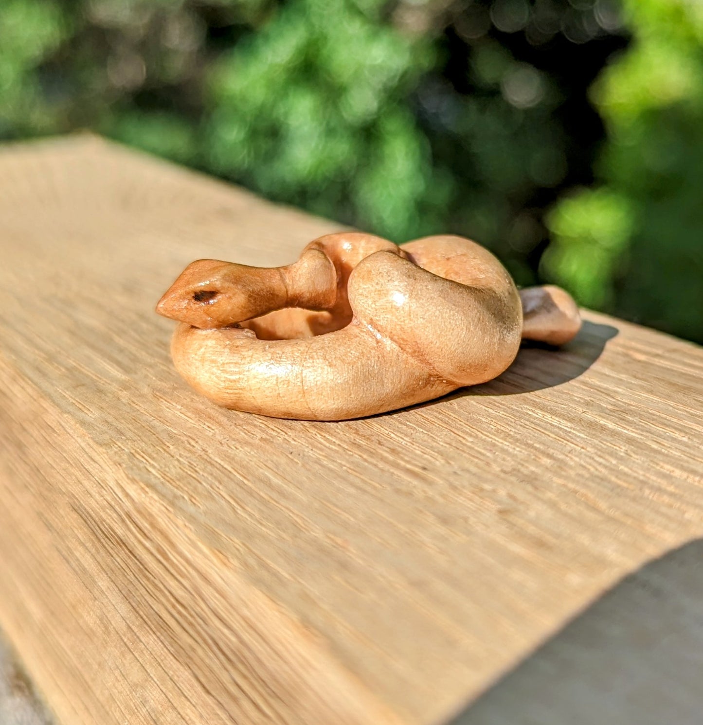 Maple Snake