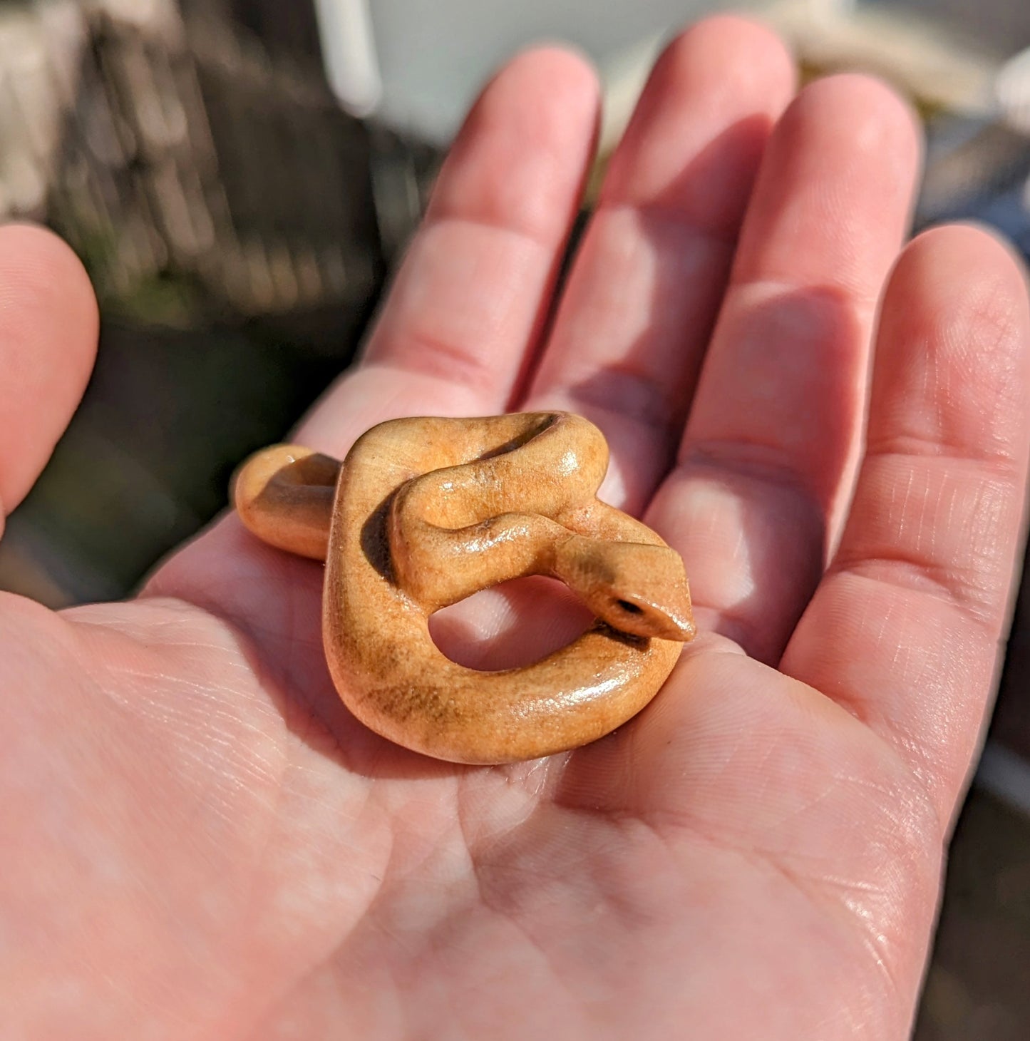 Maple Snake