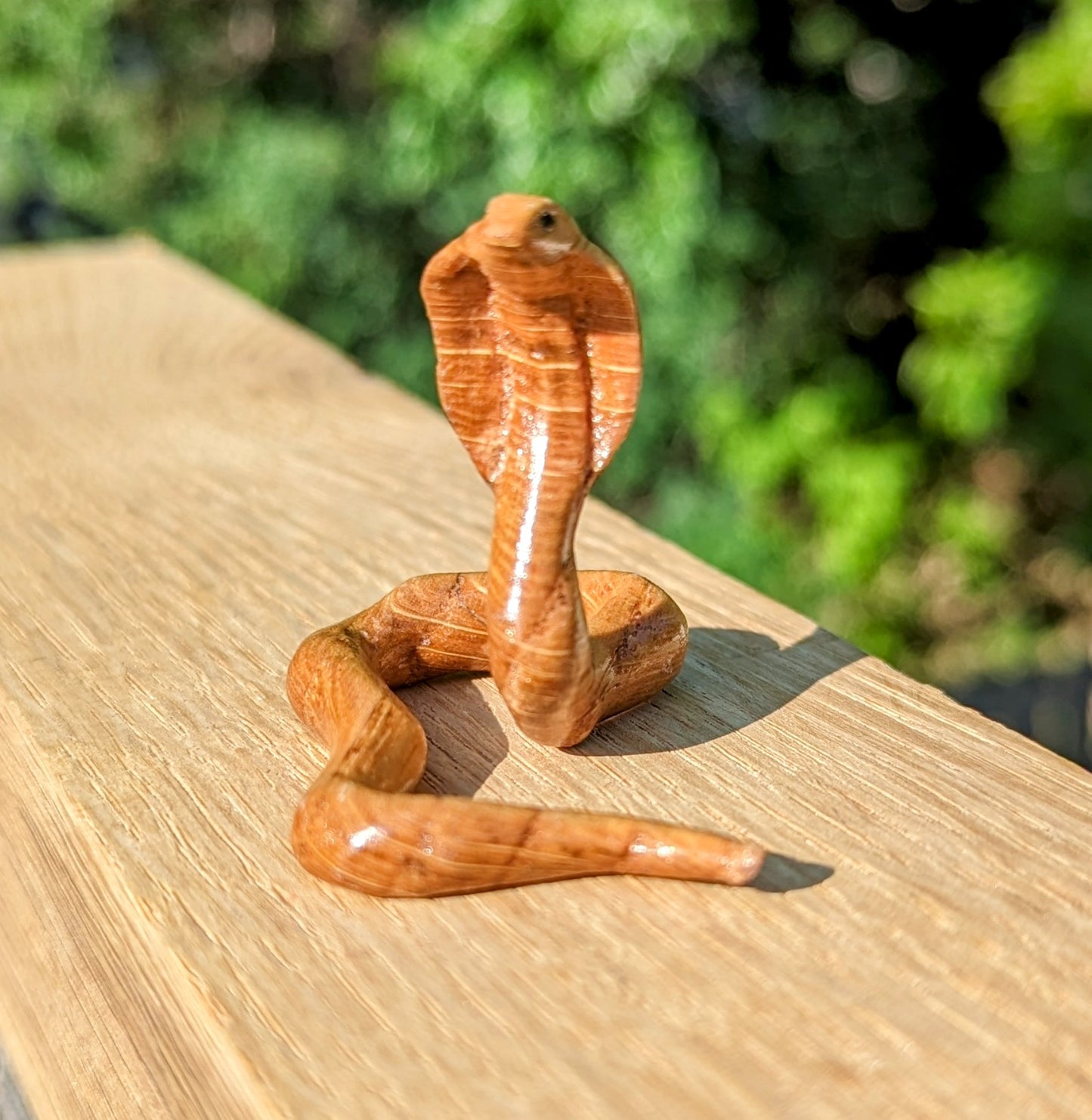 Red Oak Snake