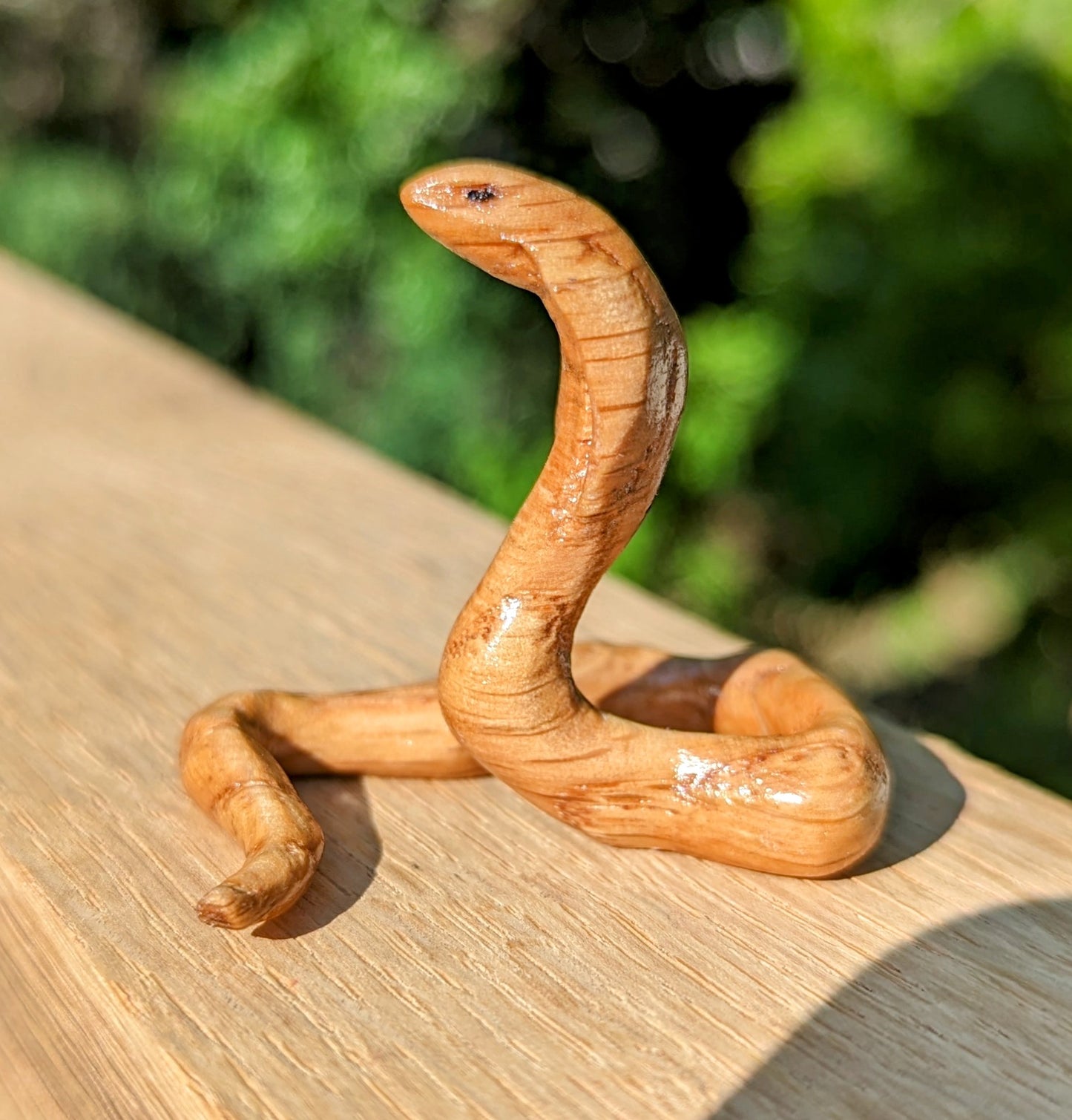 Red Oak Snake