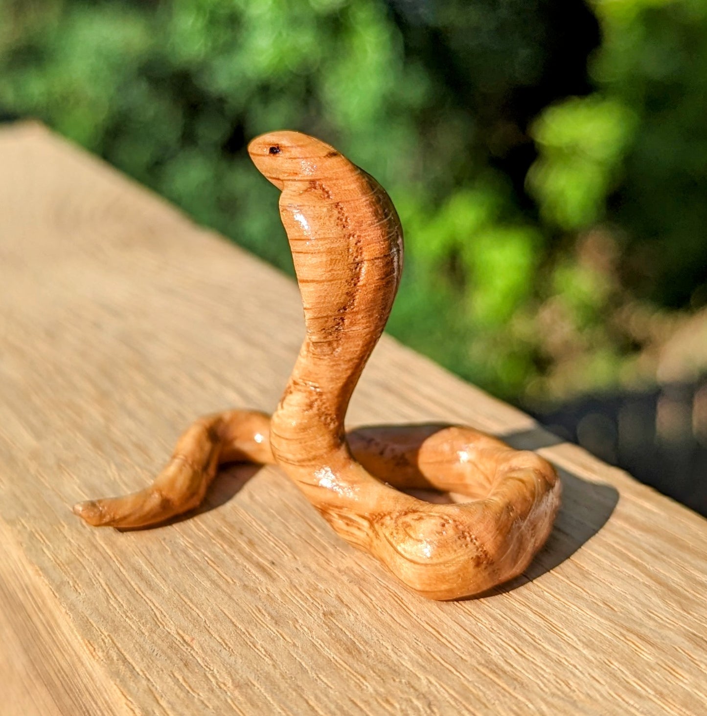 Red Oak Snake