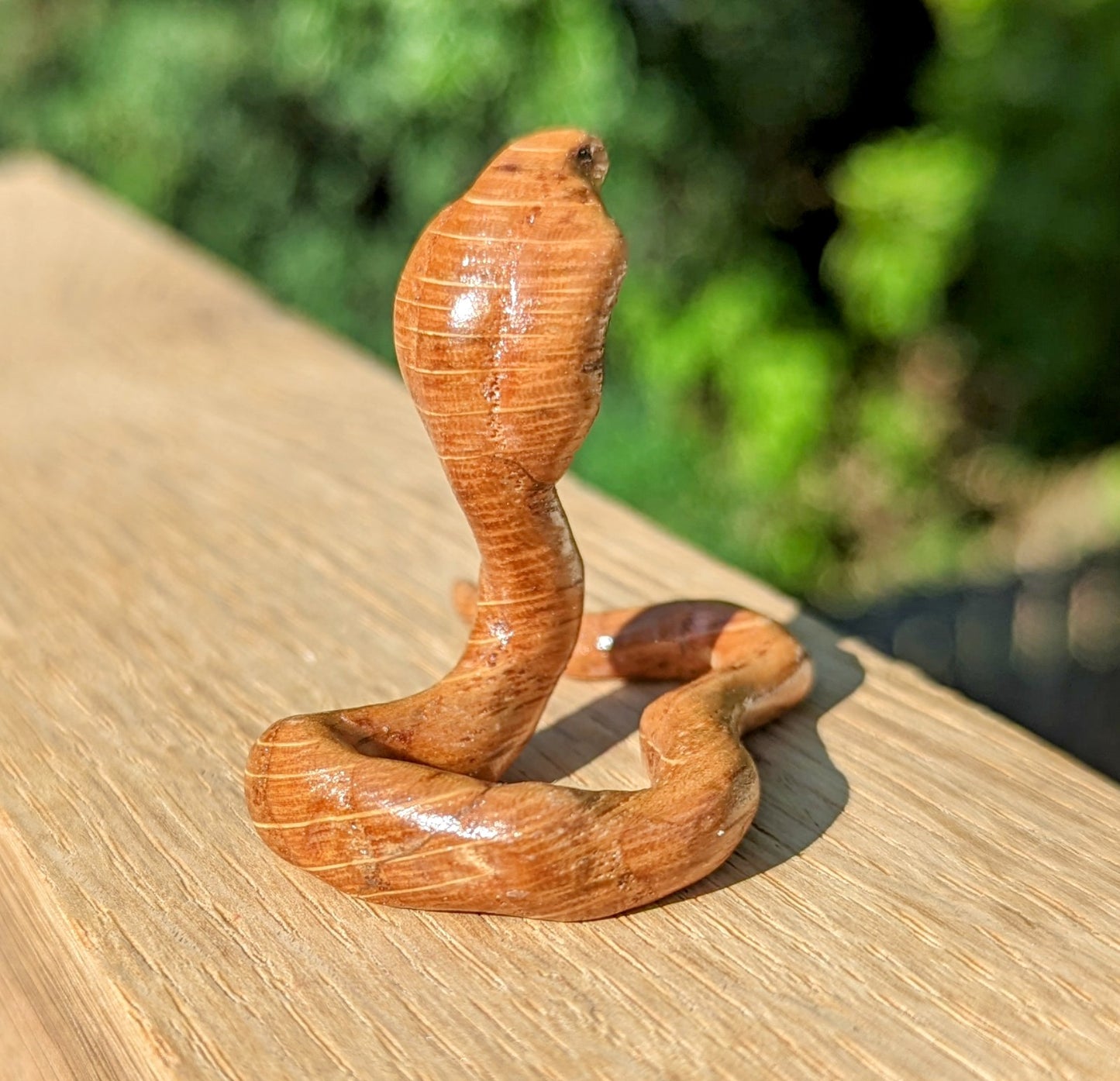 Red Oak Snake