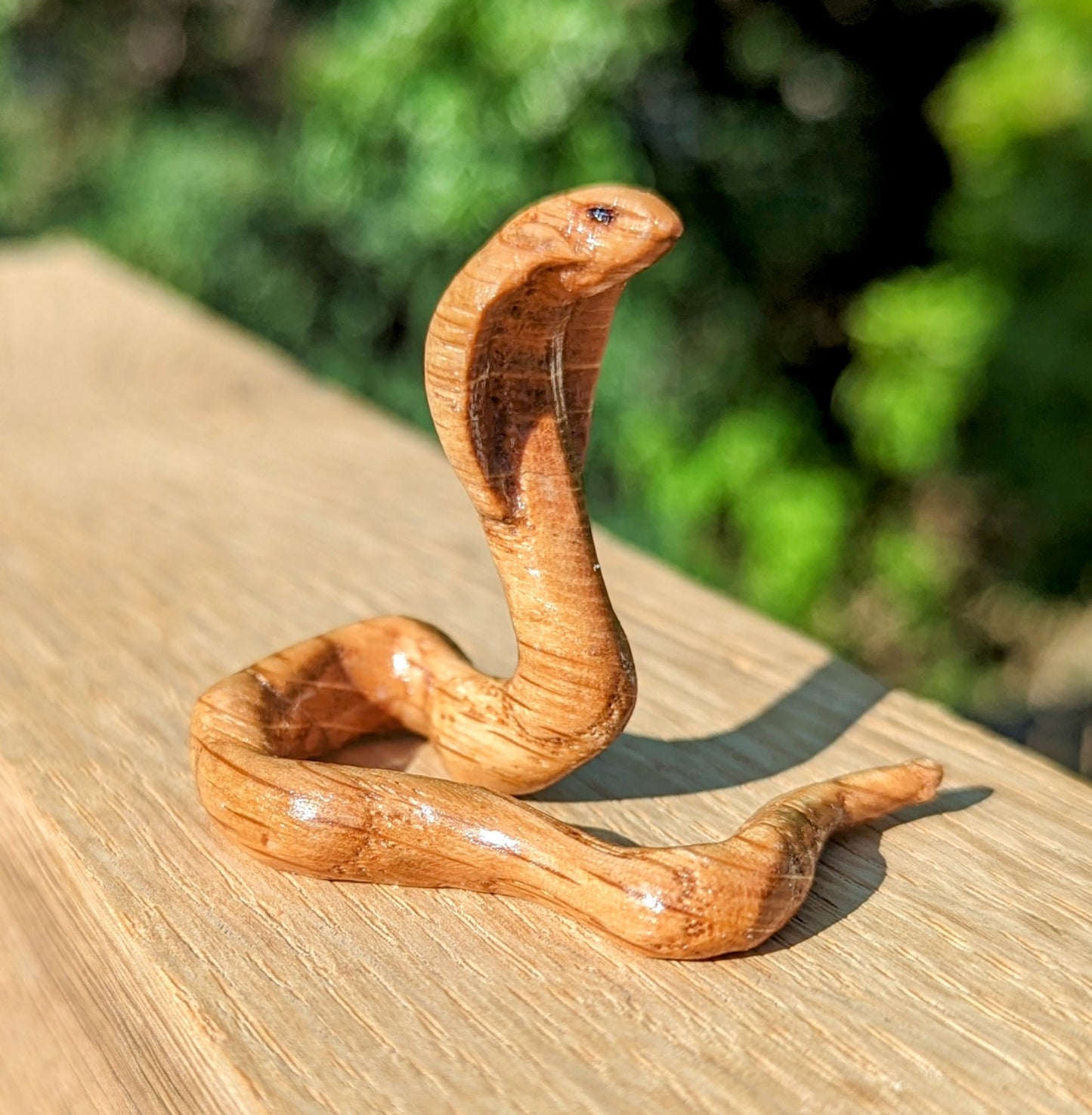 Red Oak Snake