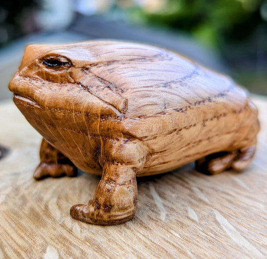 Red Oak Rain Frog