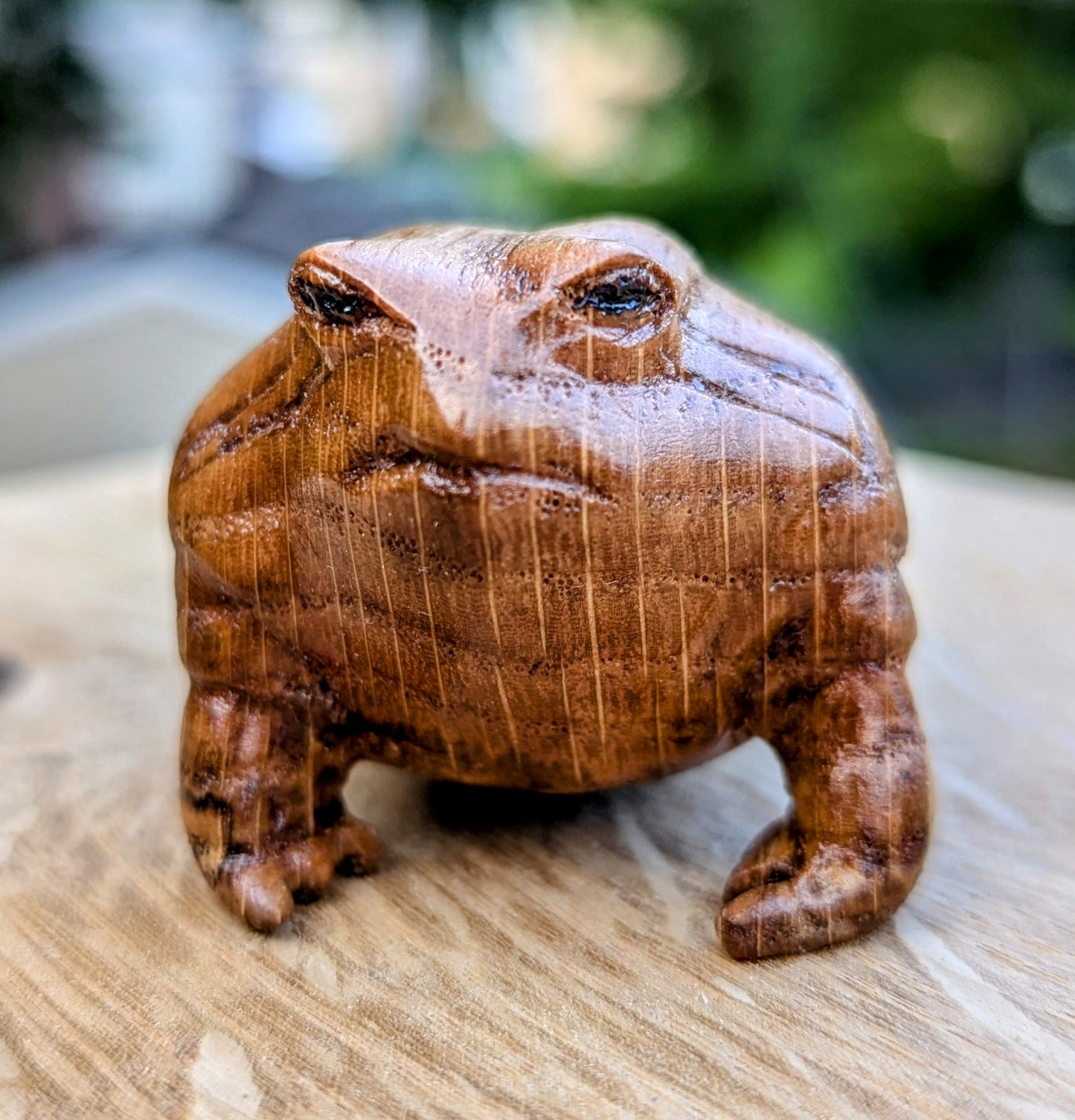 Red Oak Rain Frog