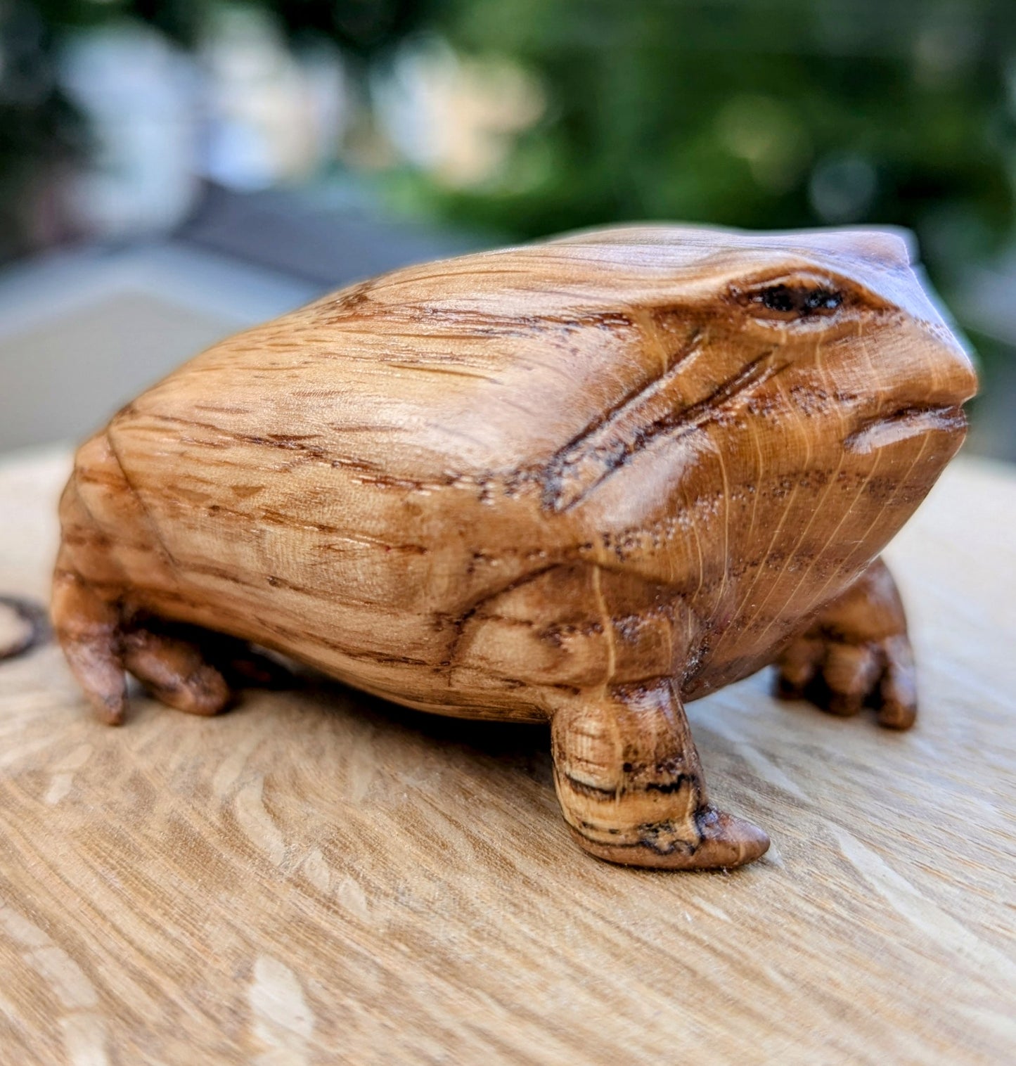 Red Oak Rain Frog