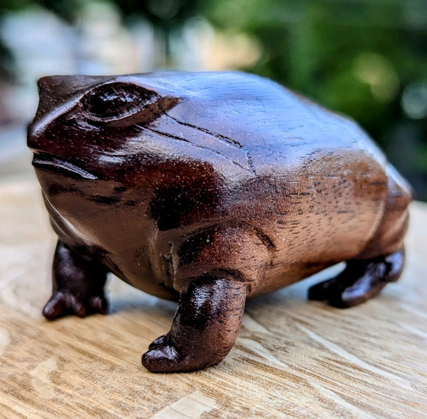 Black Walnut Rain Frog