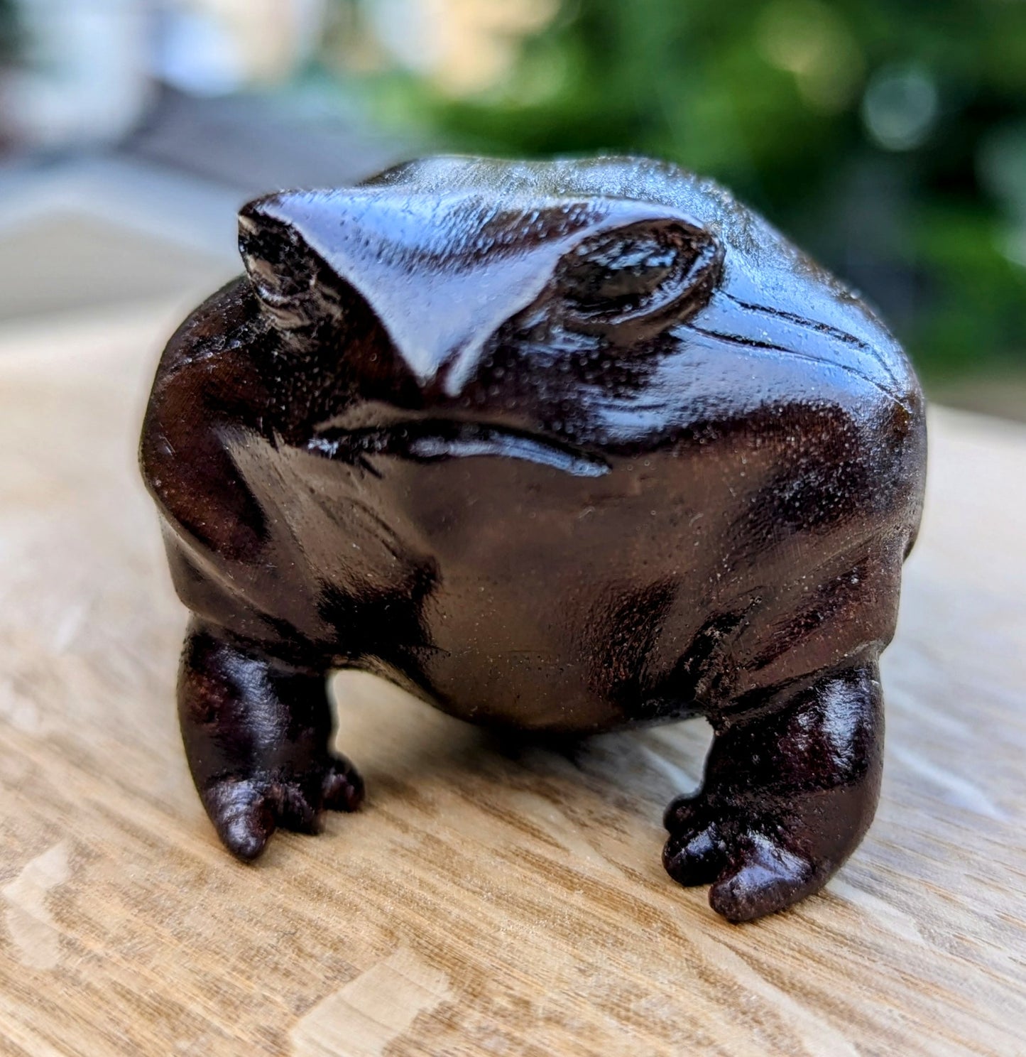 Black Walnut Rain Frog