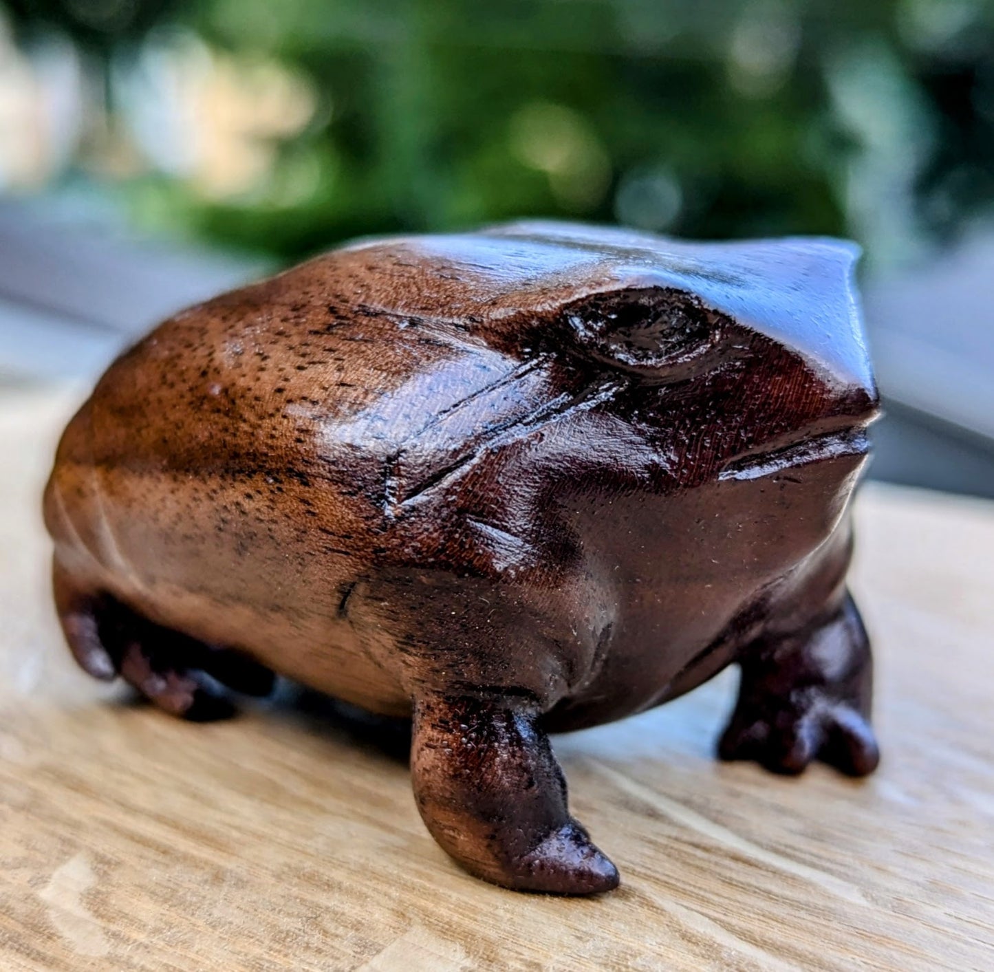 Black Walnut Rain Frog