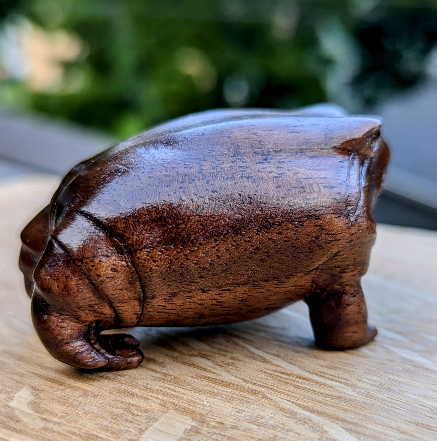 Black Walnut Rain Frog