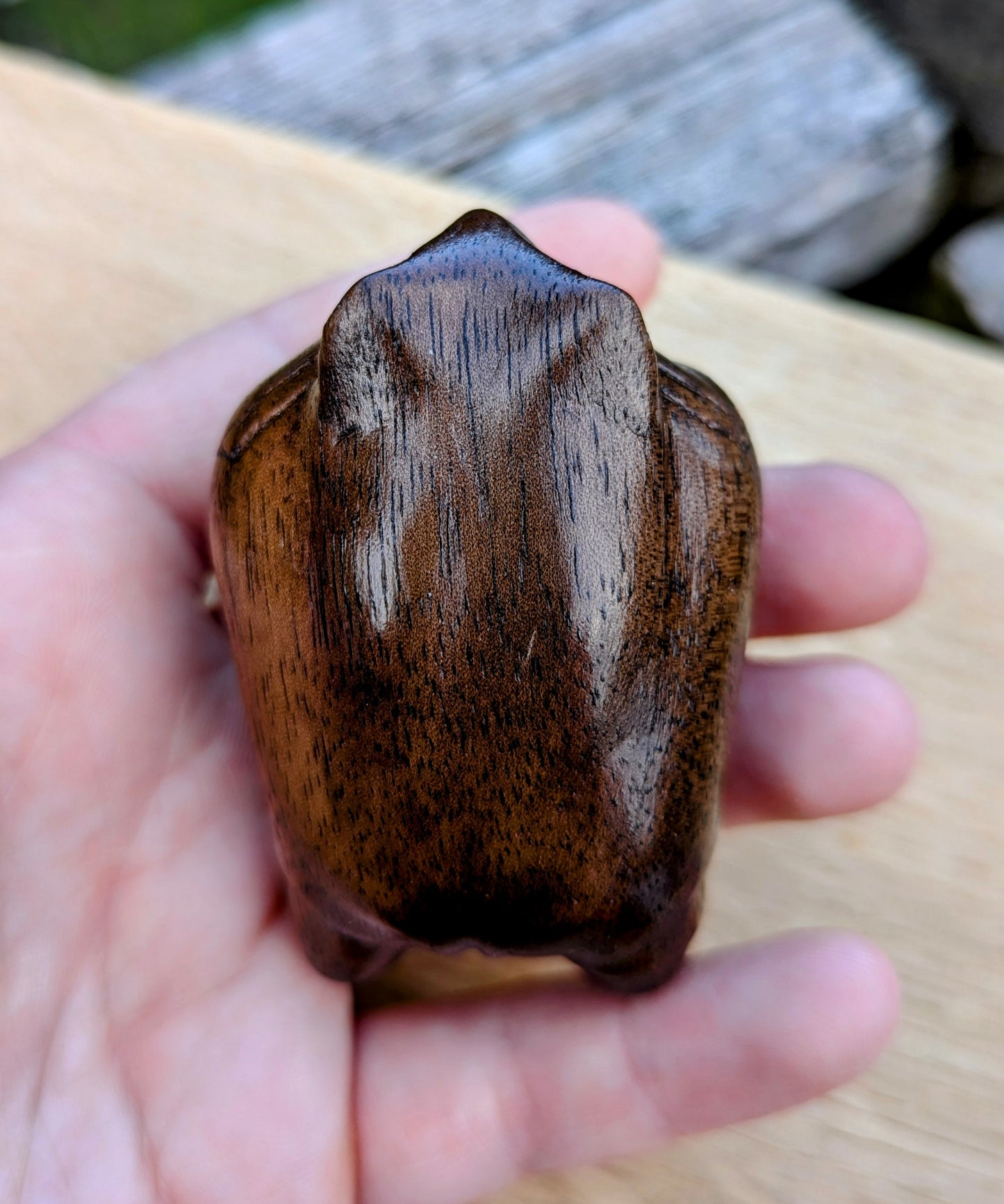 Black Walnut Rain Frog