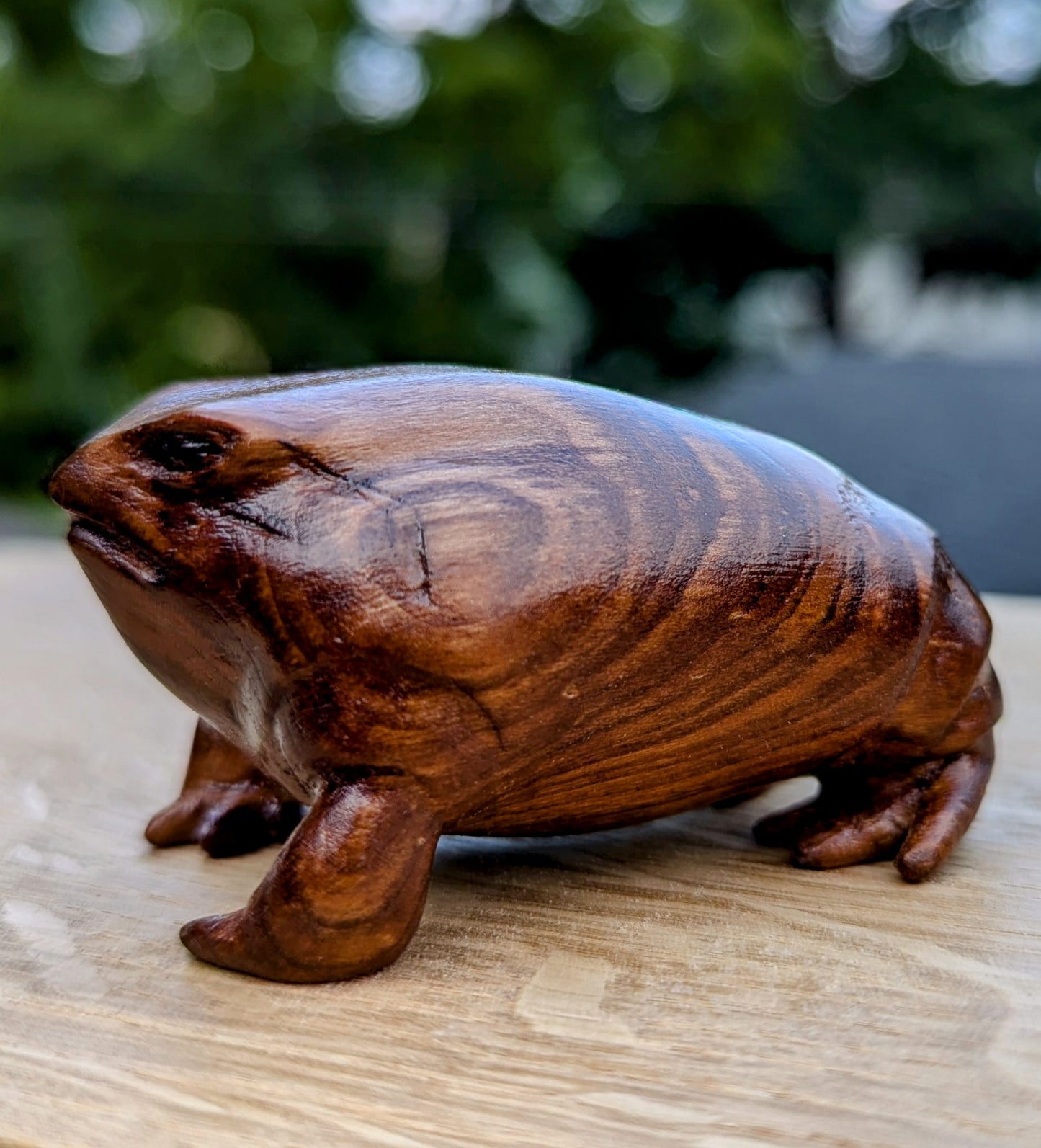 Cherry Rain Frog