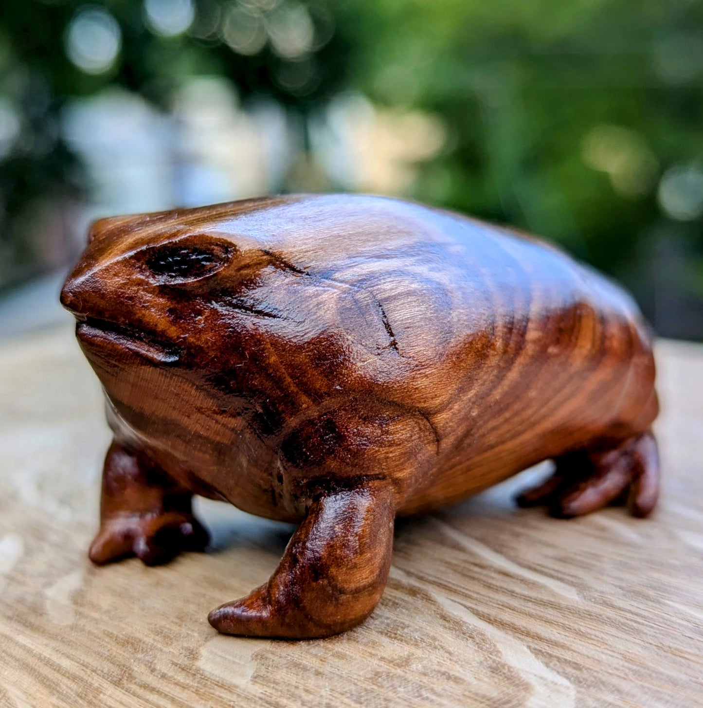 Cherry Rain Frog