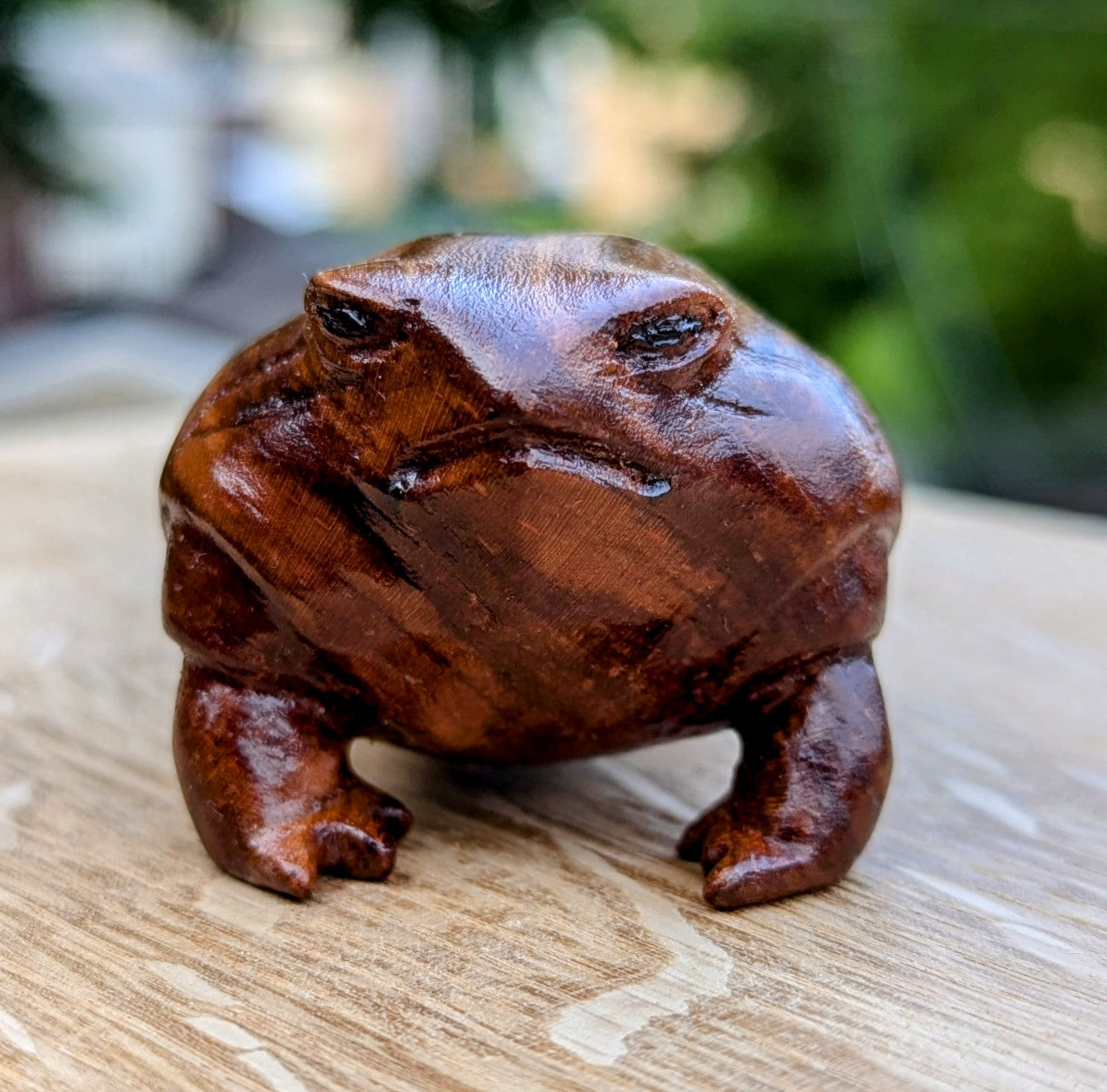 Cherry Rain Frog