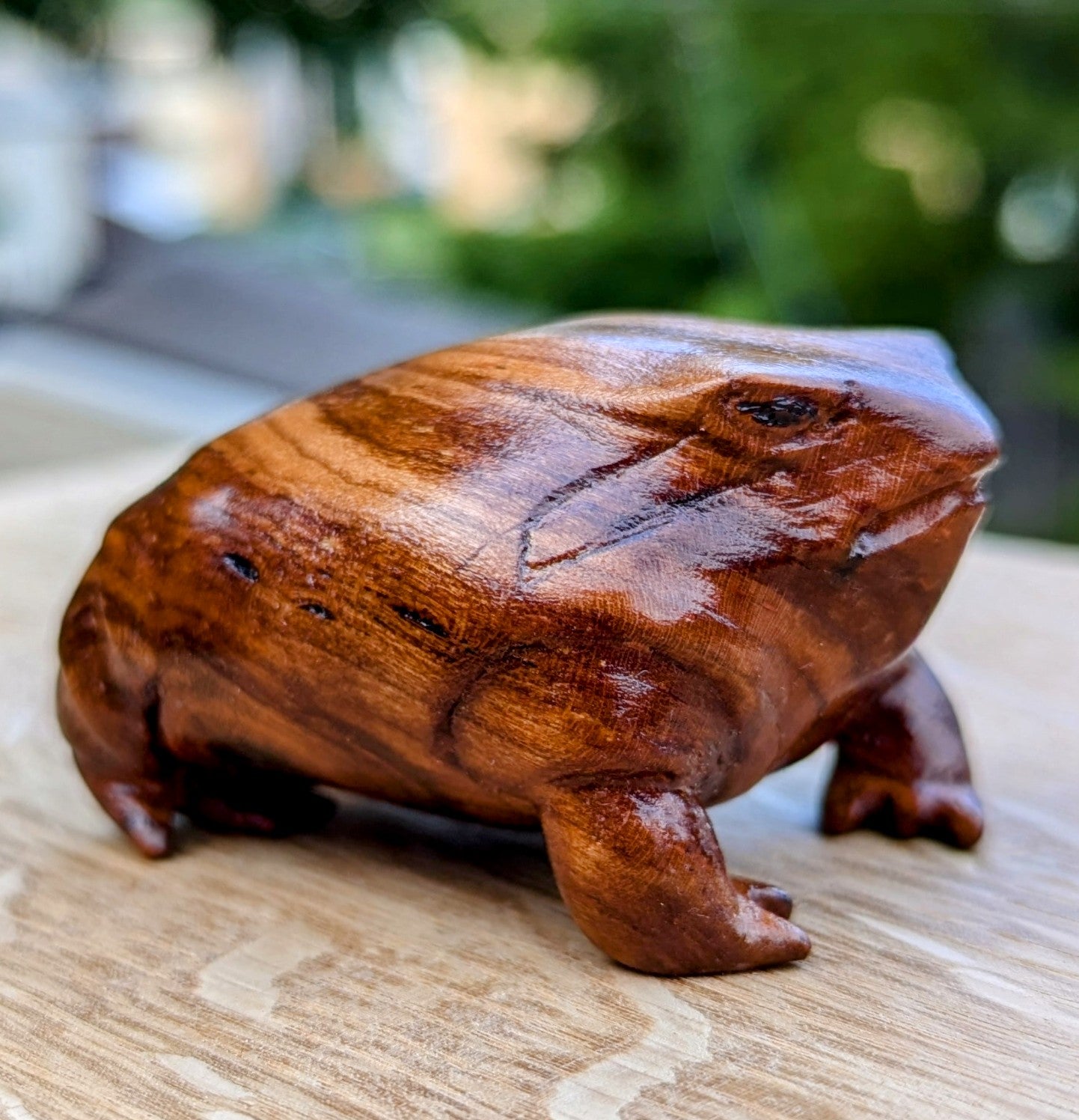 Cherry Rain Frog