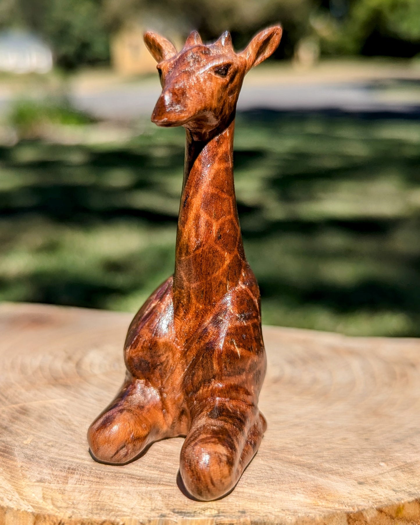 Cherry Giraffe