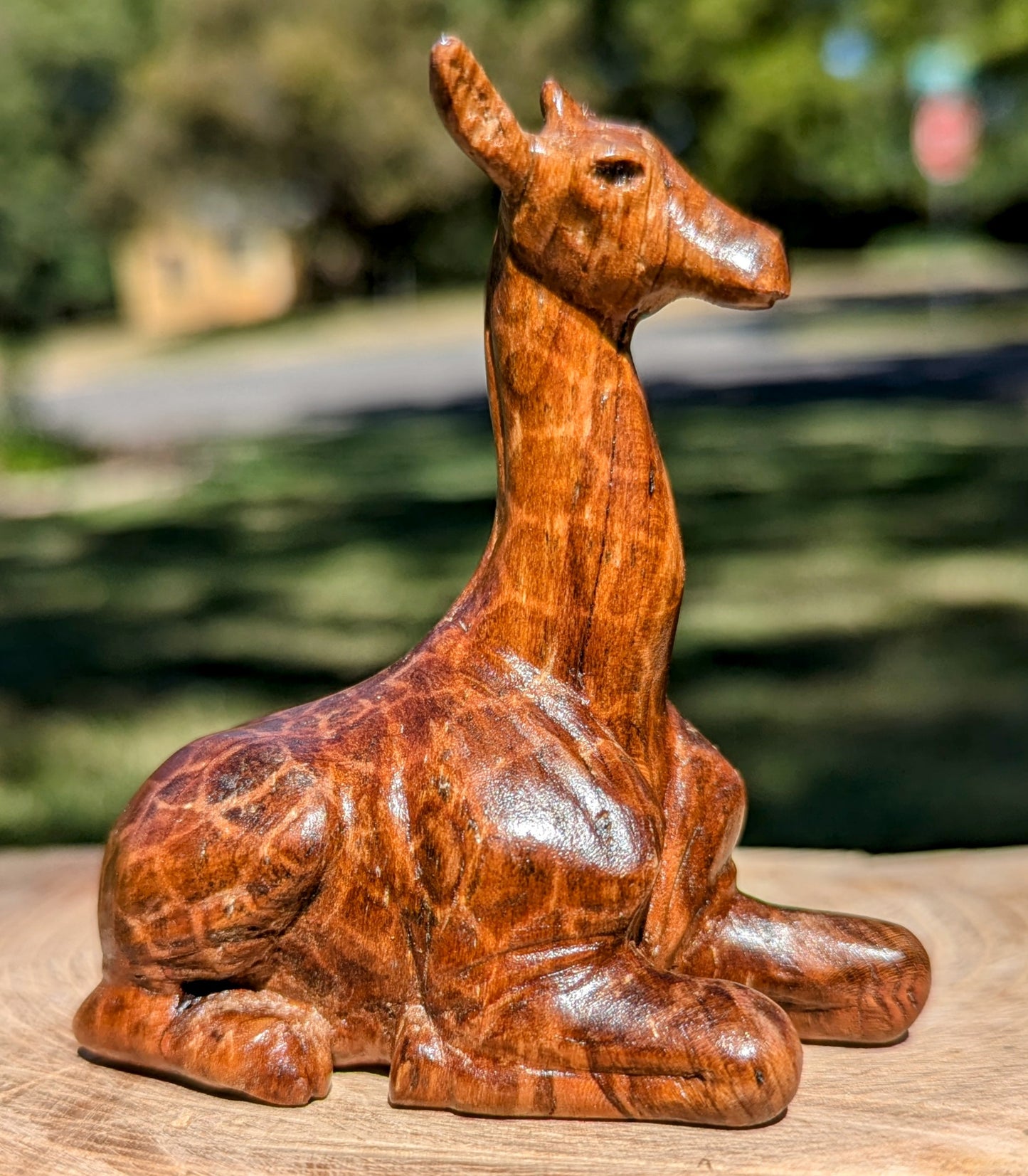 Cherry Giraffe