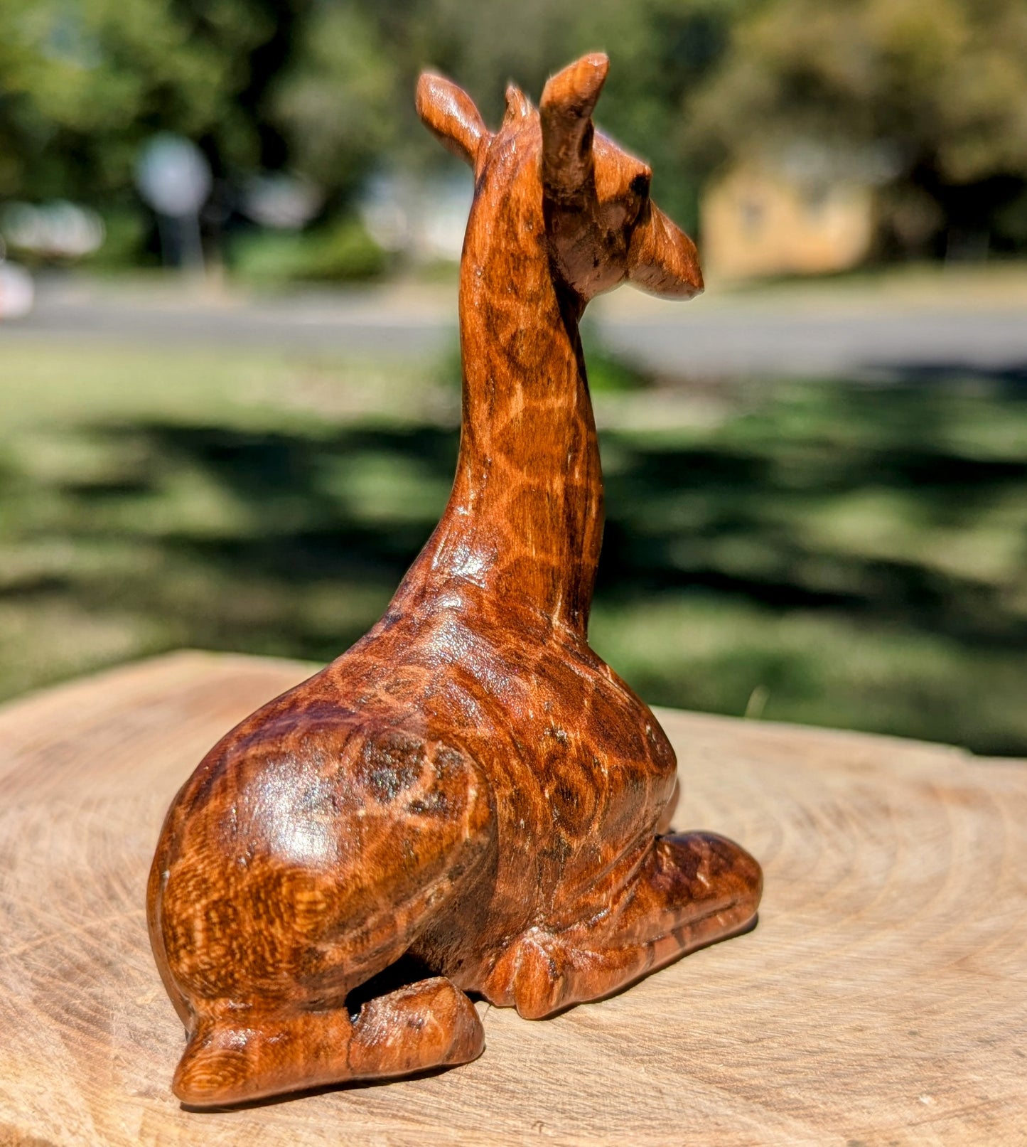 Cherry Giraffe