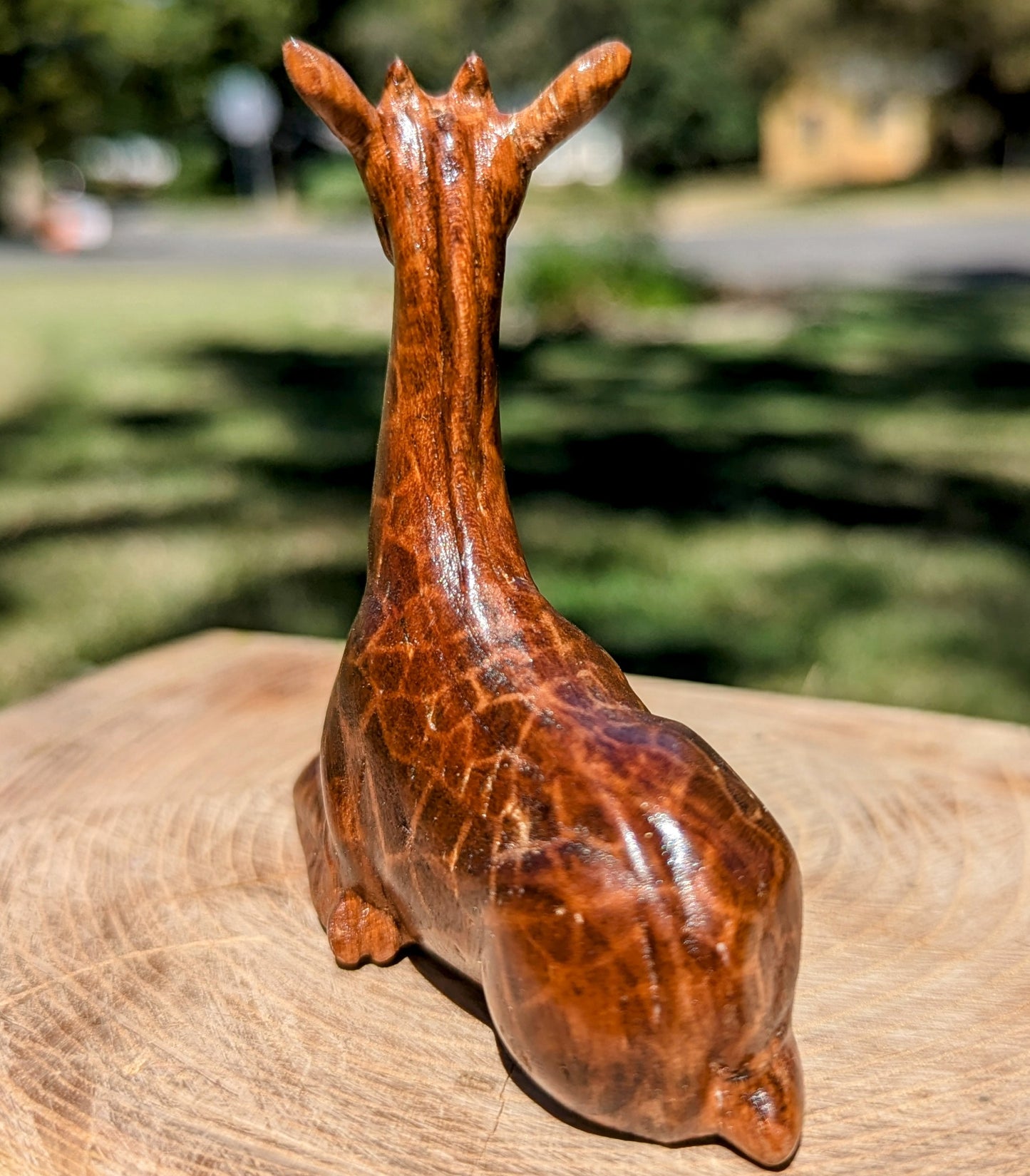 Cherry Giraffe