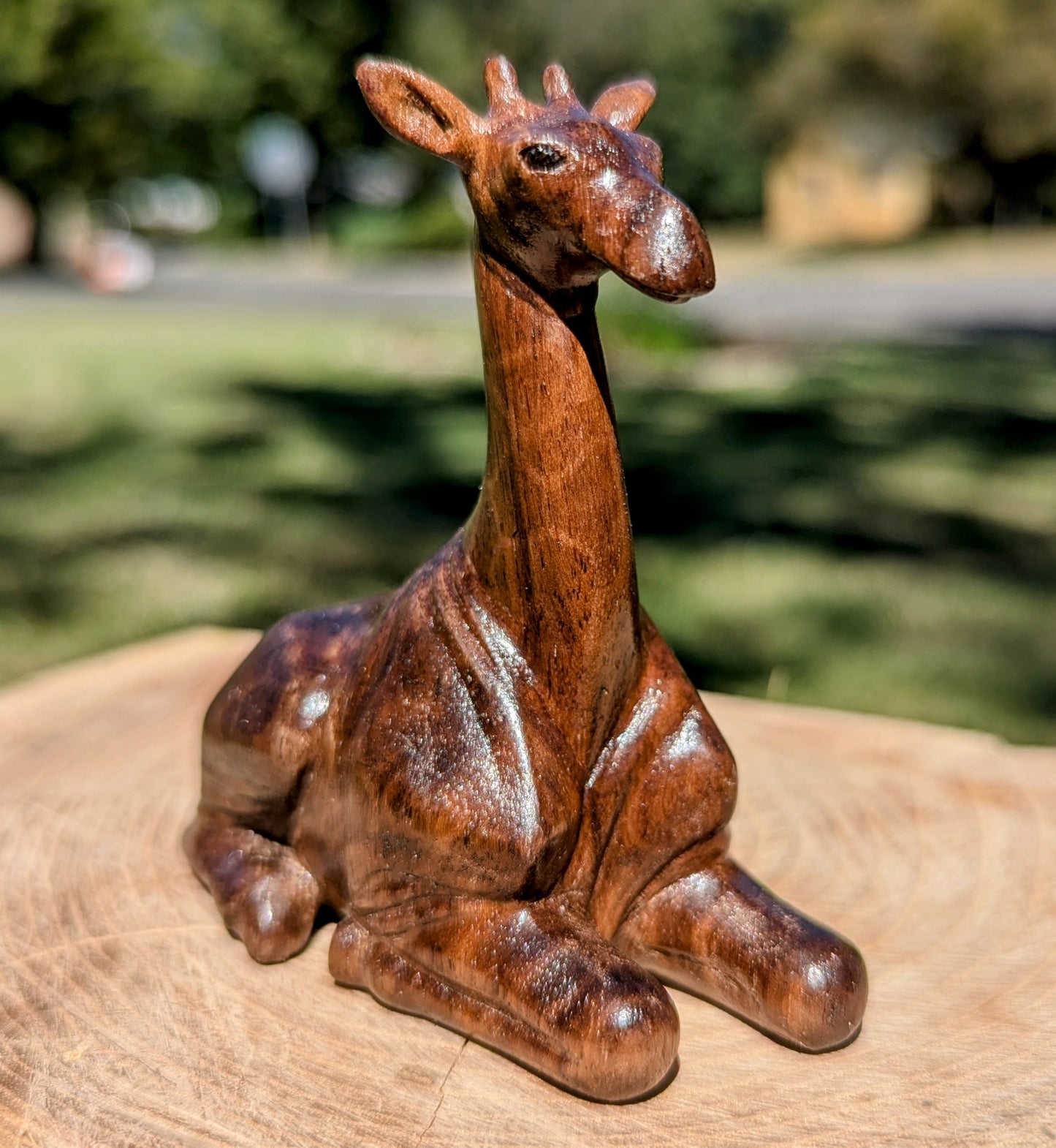 Black Walnut Giraffe