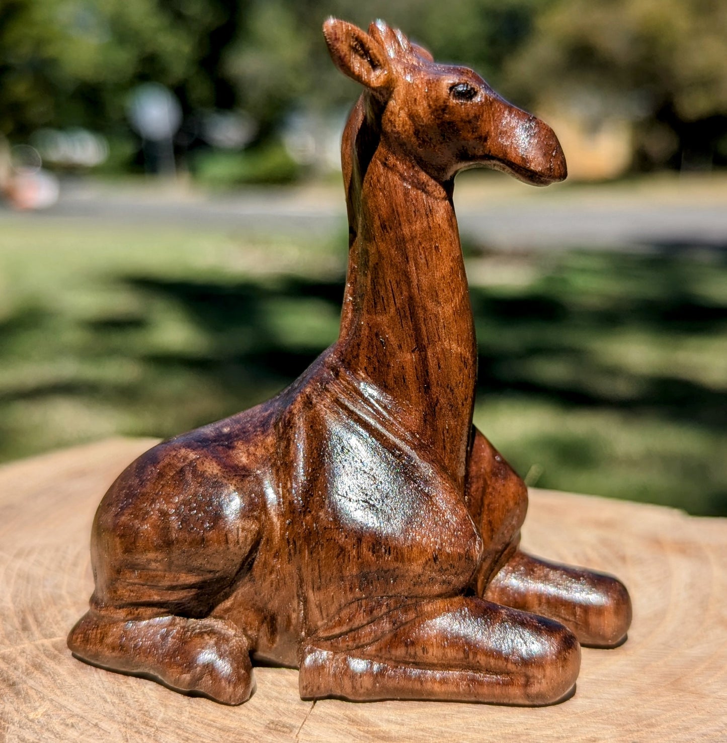 Black Walnut Giraffe