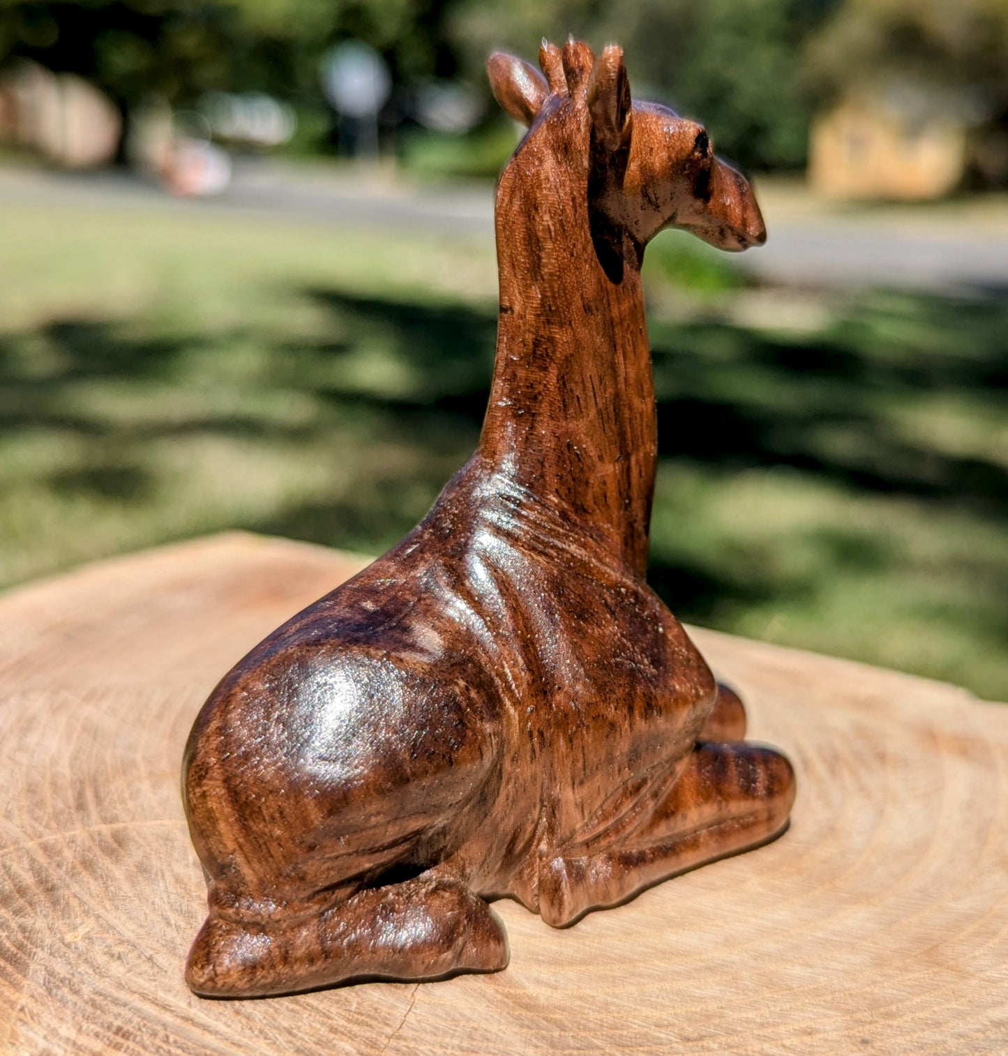 Black Walnut Giraffe