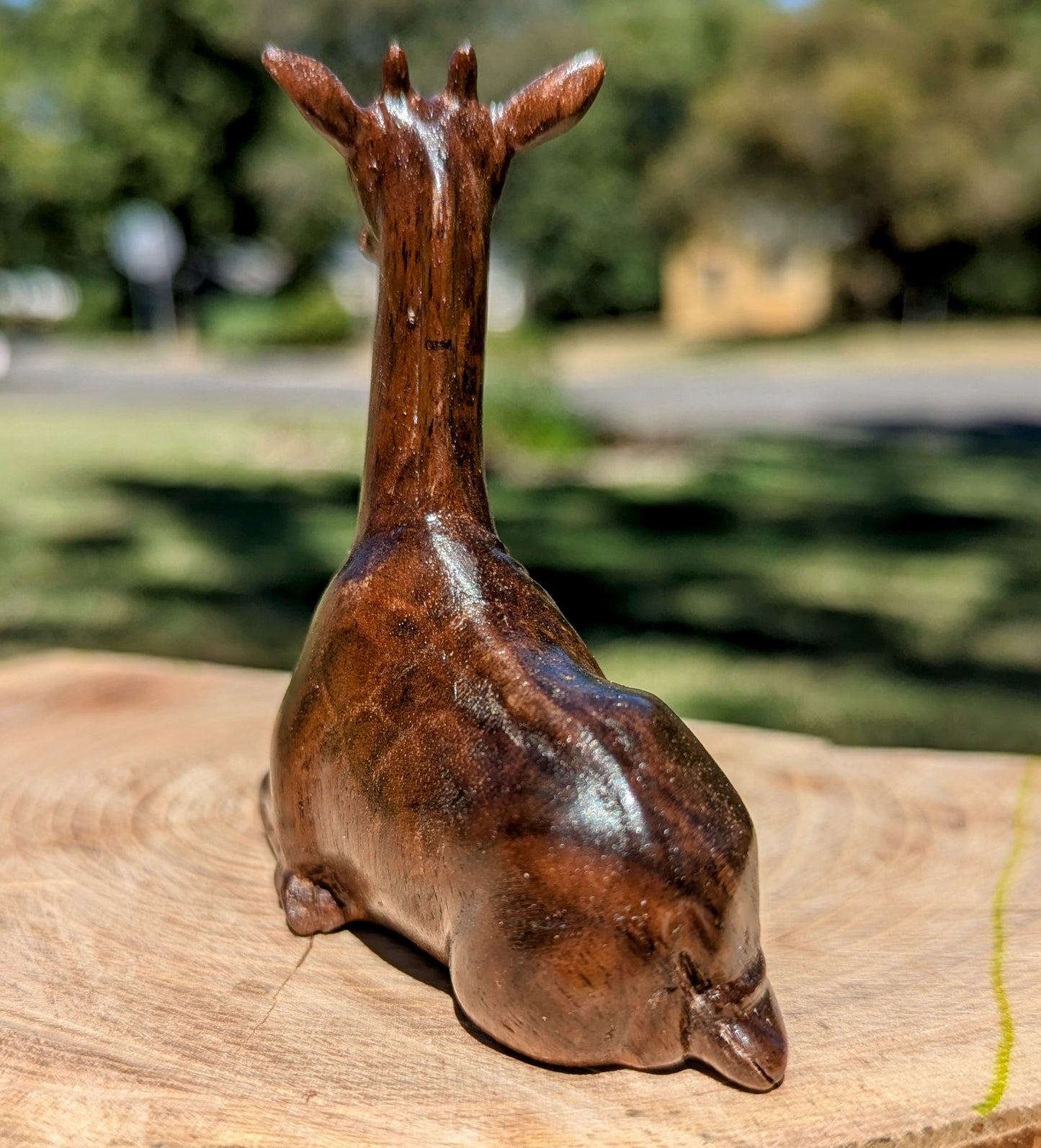 Black Walnut Giraffe